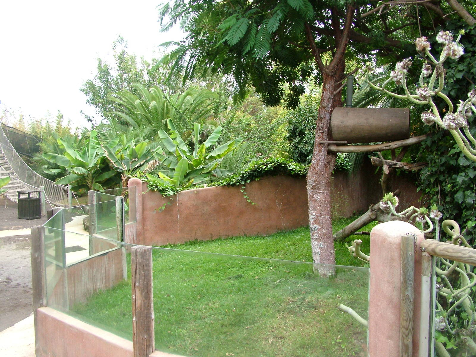 Red Panda Exhibit at Jungle Park (Las Aguilas), 13/11/10