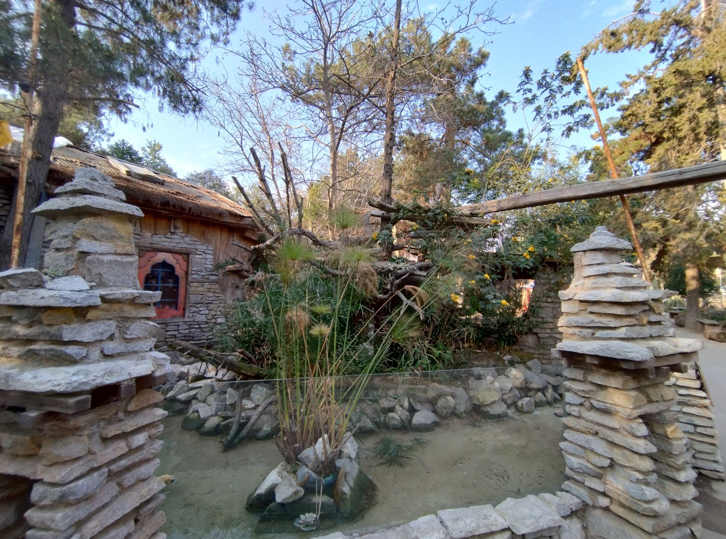 Red panda exhibit - Buin zoo