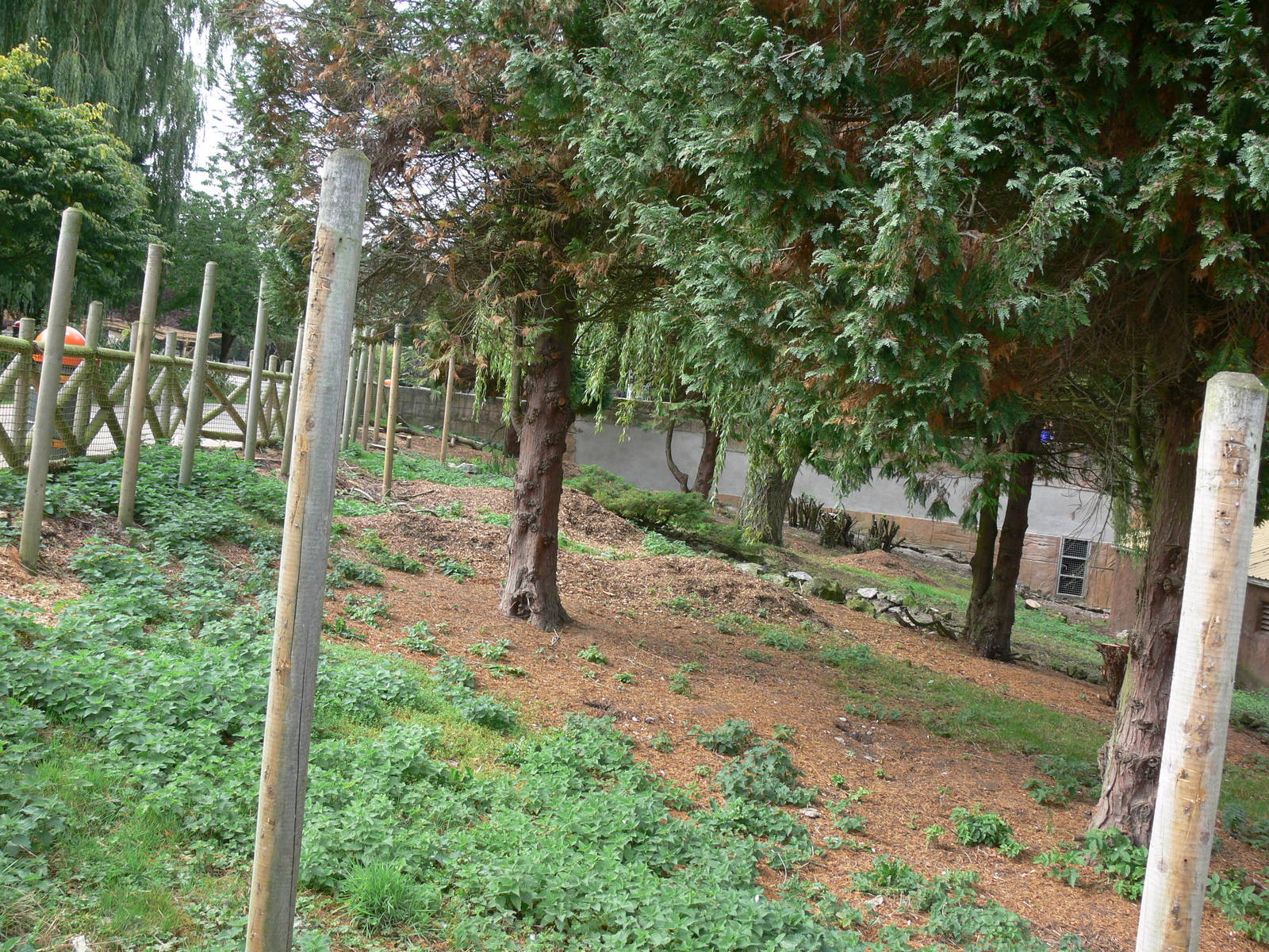 Red Panda exhibit construction at Flamingo Land, 21/09/13