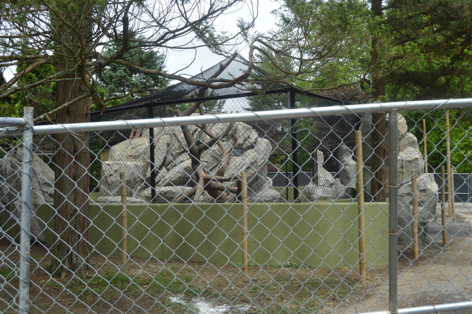 Red Panda Exhibit Construction