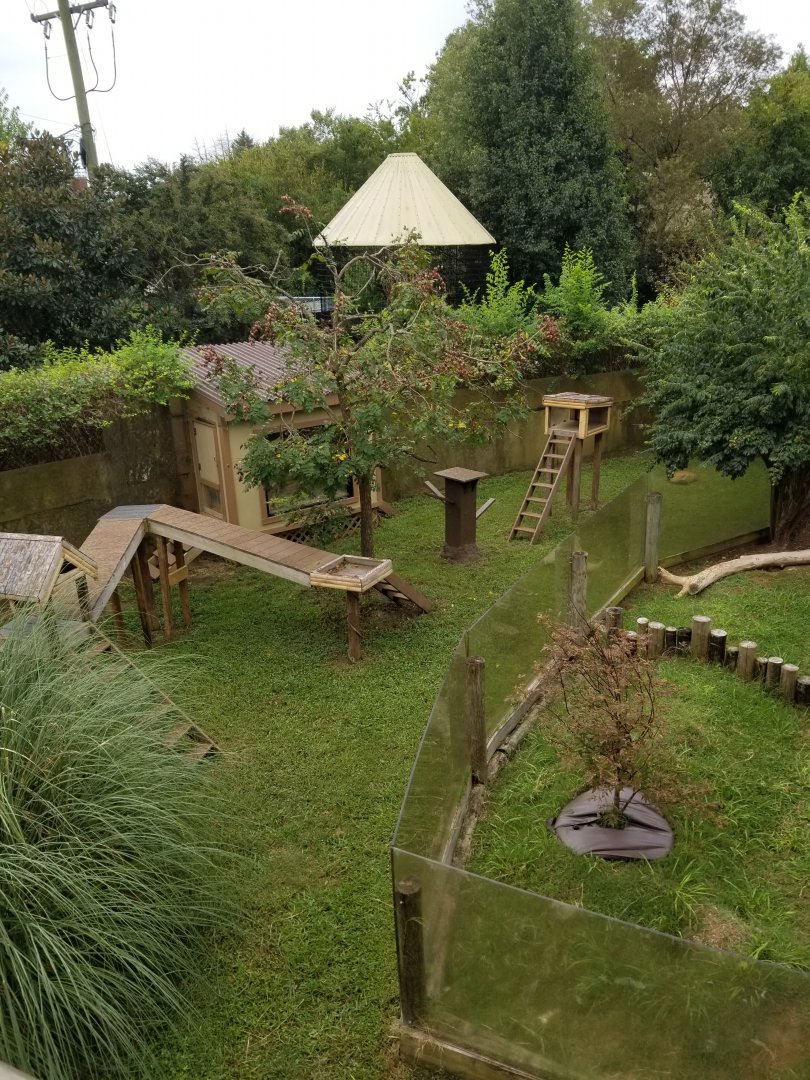 Red Panda Exhibit + Forsten's Tortoise Exhibit