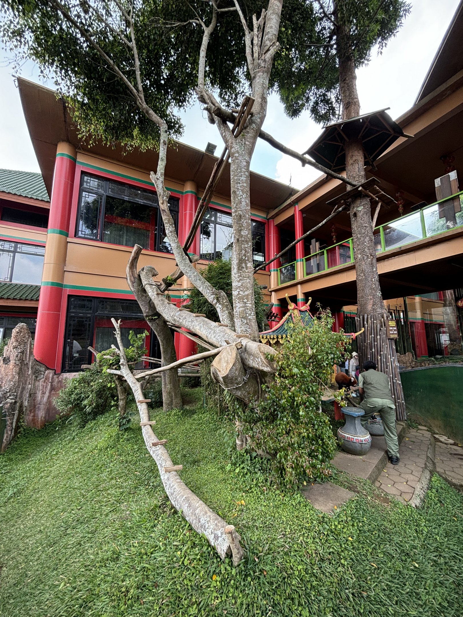 Red Panda Exhibit - Giant Panda Complex