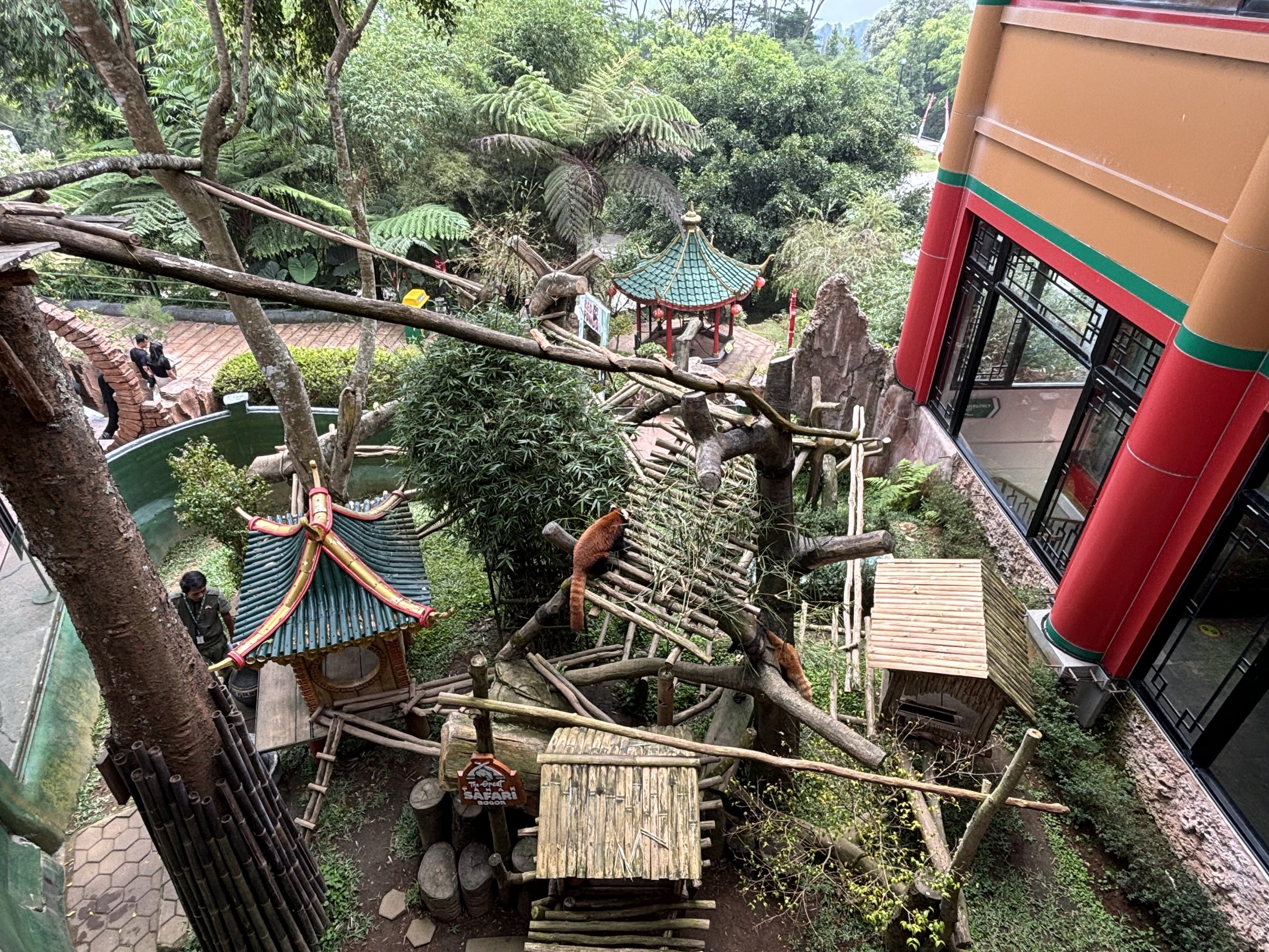 Red Panda Exhibit - Giant Panda Complex