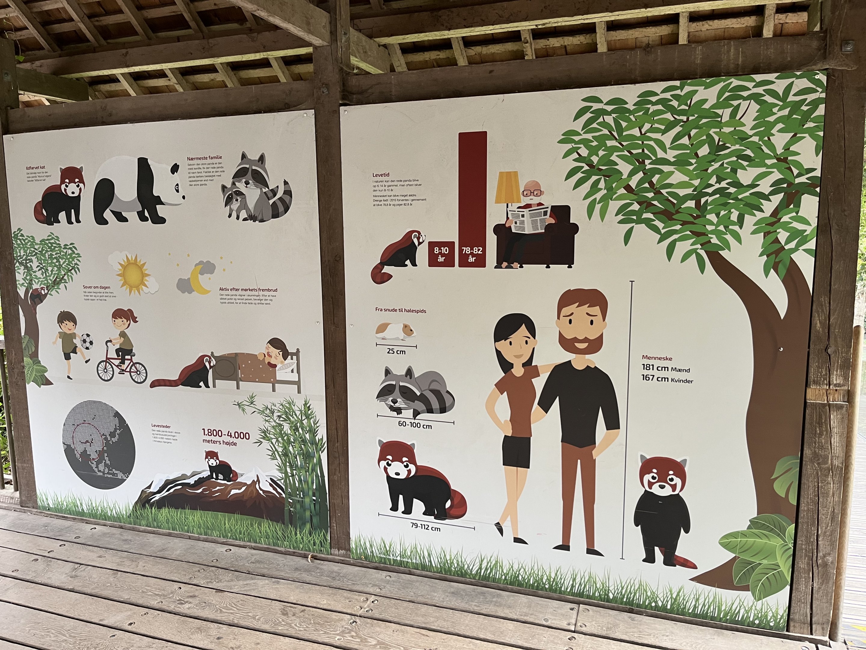 Red Panda Exhibit - great sign!