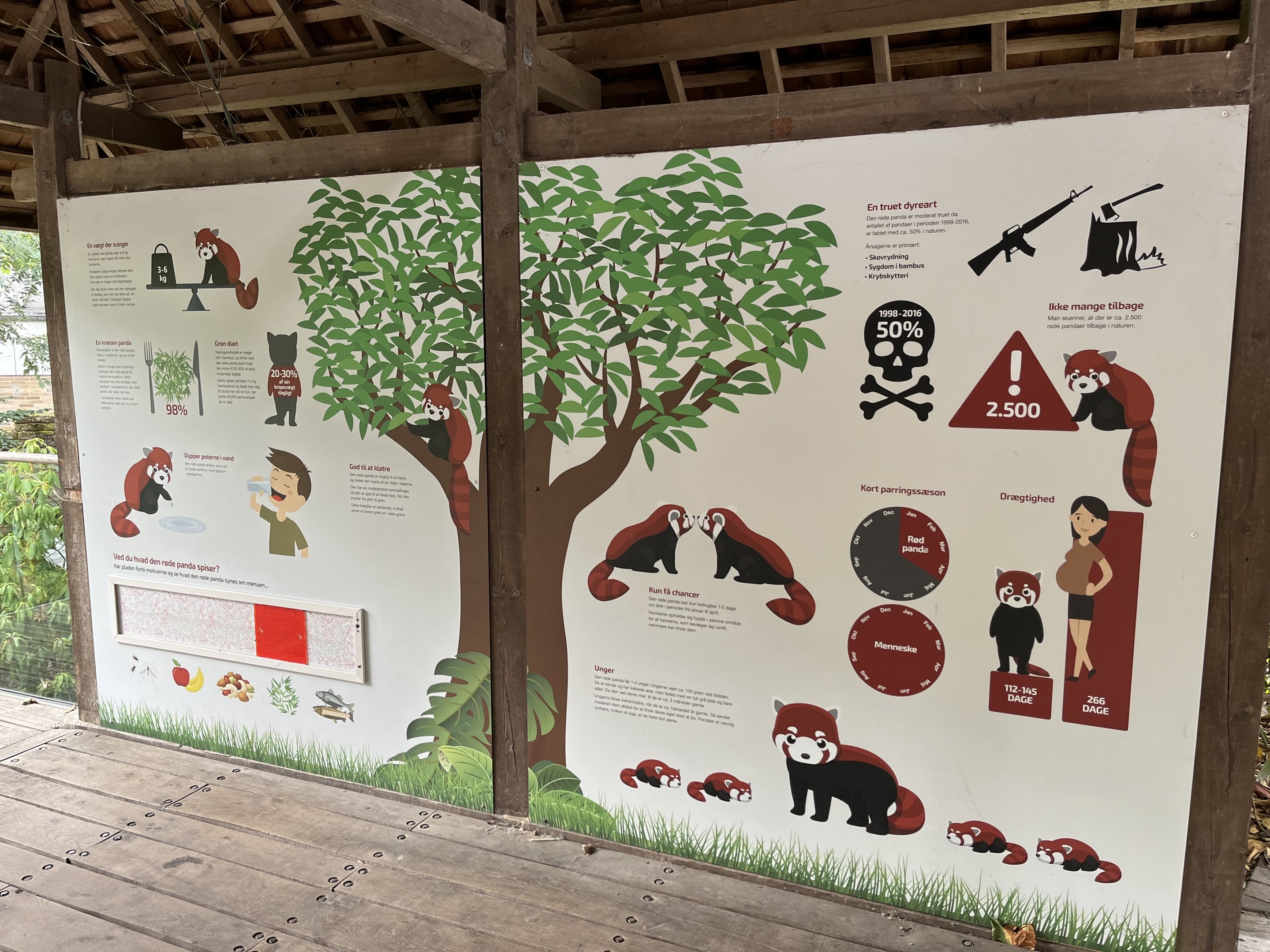 Red Panda Exhibit - great sign!