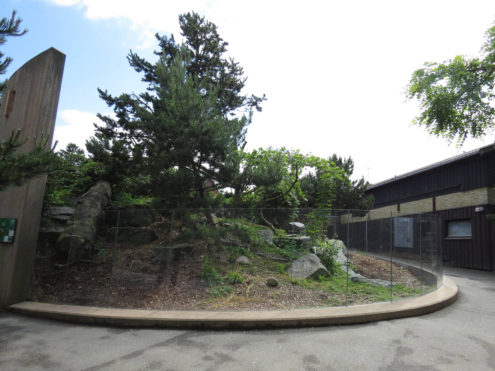 Red panda exhibit, June 2015.