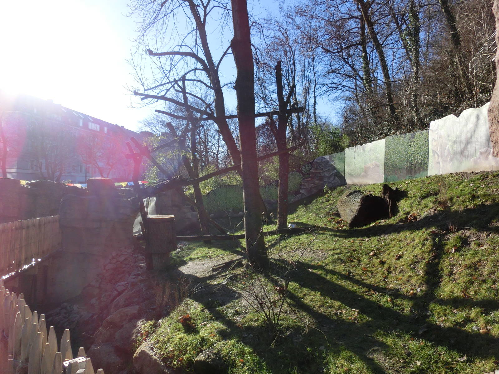 red panda exhibit - Karlsruhe Zoo