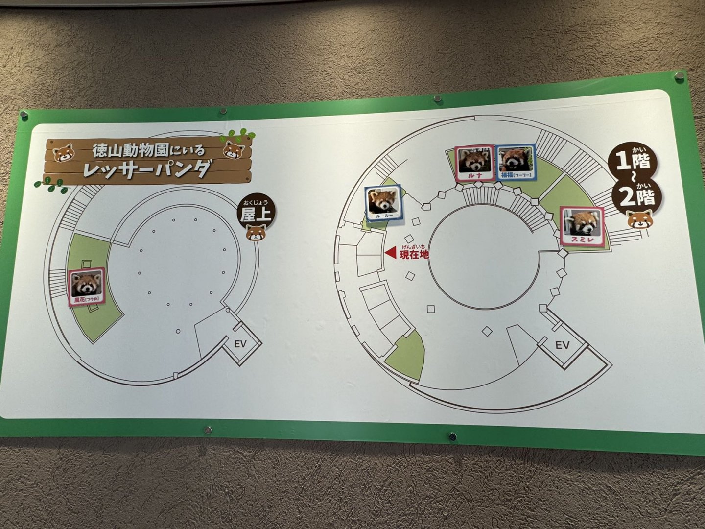 Red panda exhibit map