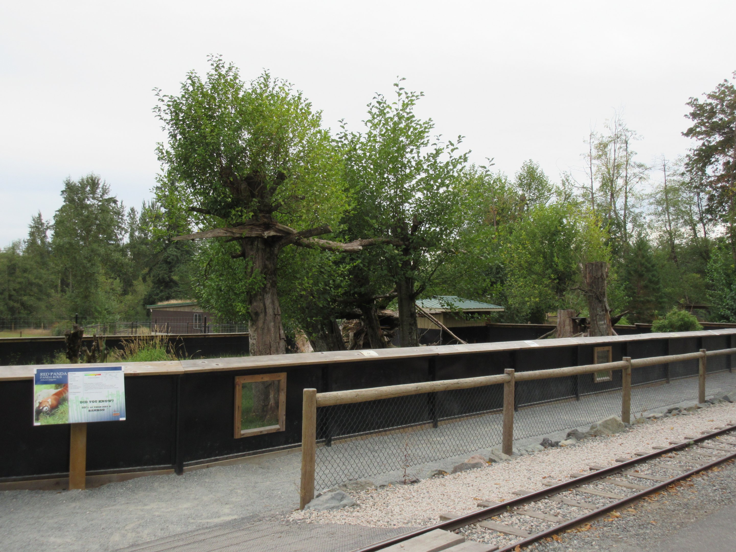 Red Panda Exhibit - New in 2015