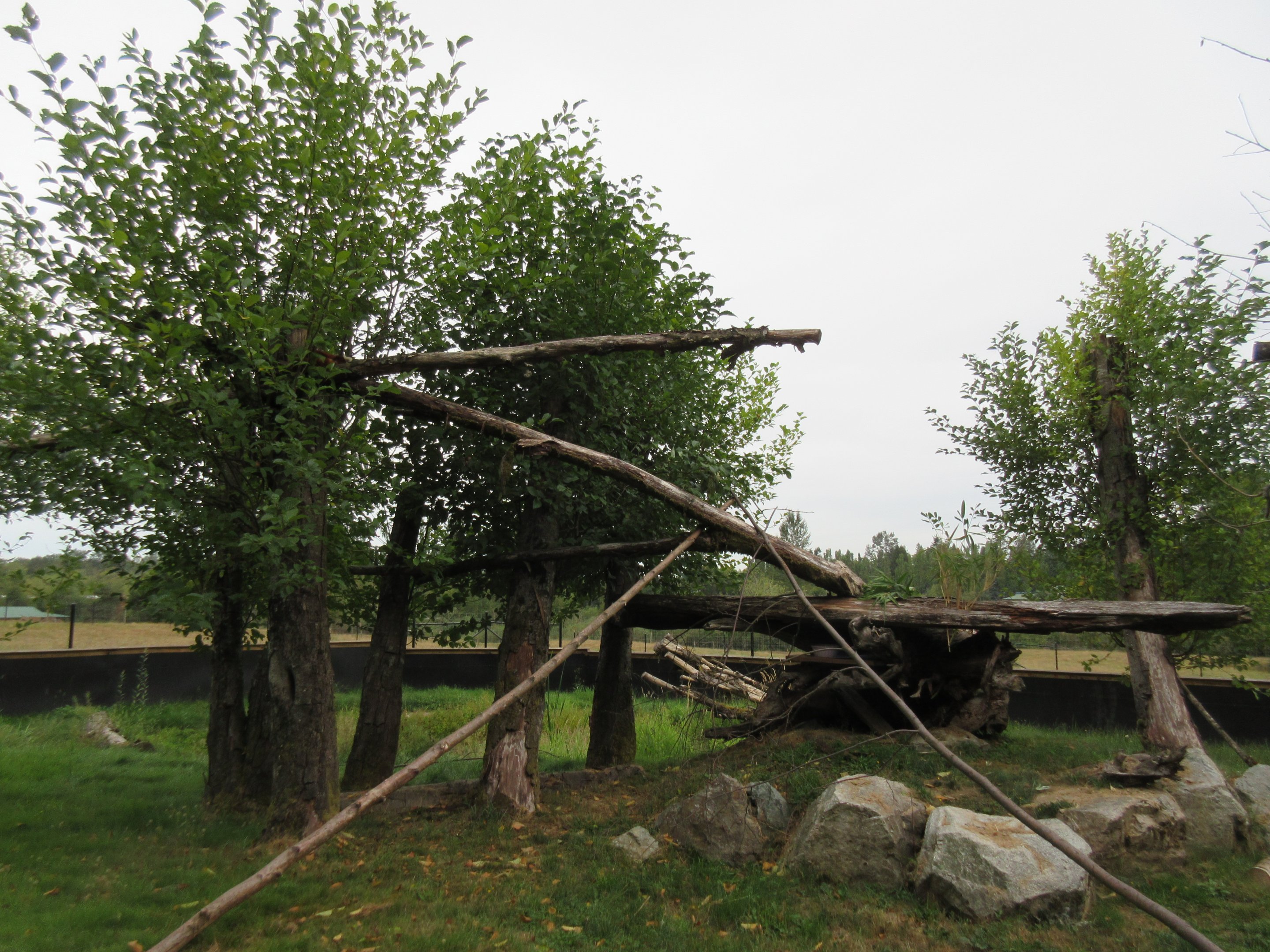 Red Panda Exhibit - New in 2015