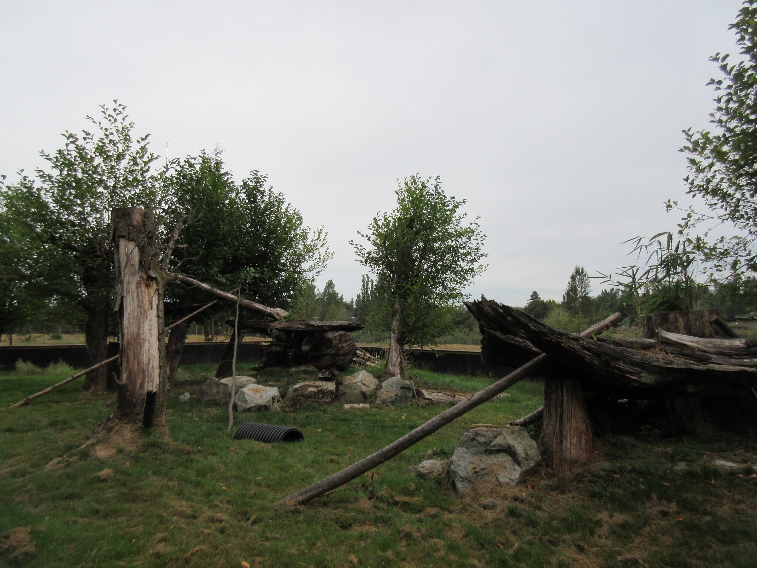 Red Panda Exhibit - New in 2015