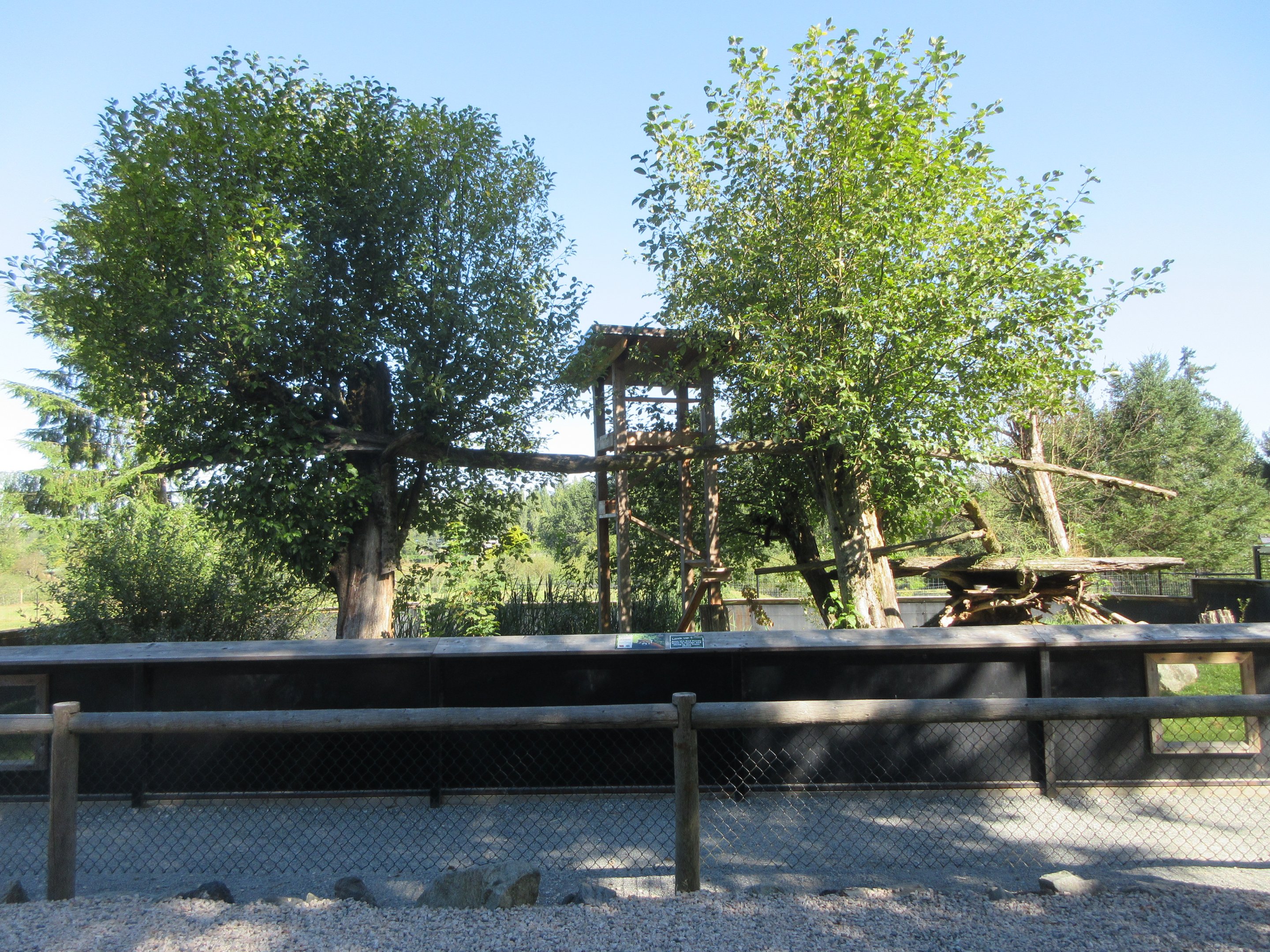 Red Panda Exhibit (New in 2015)