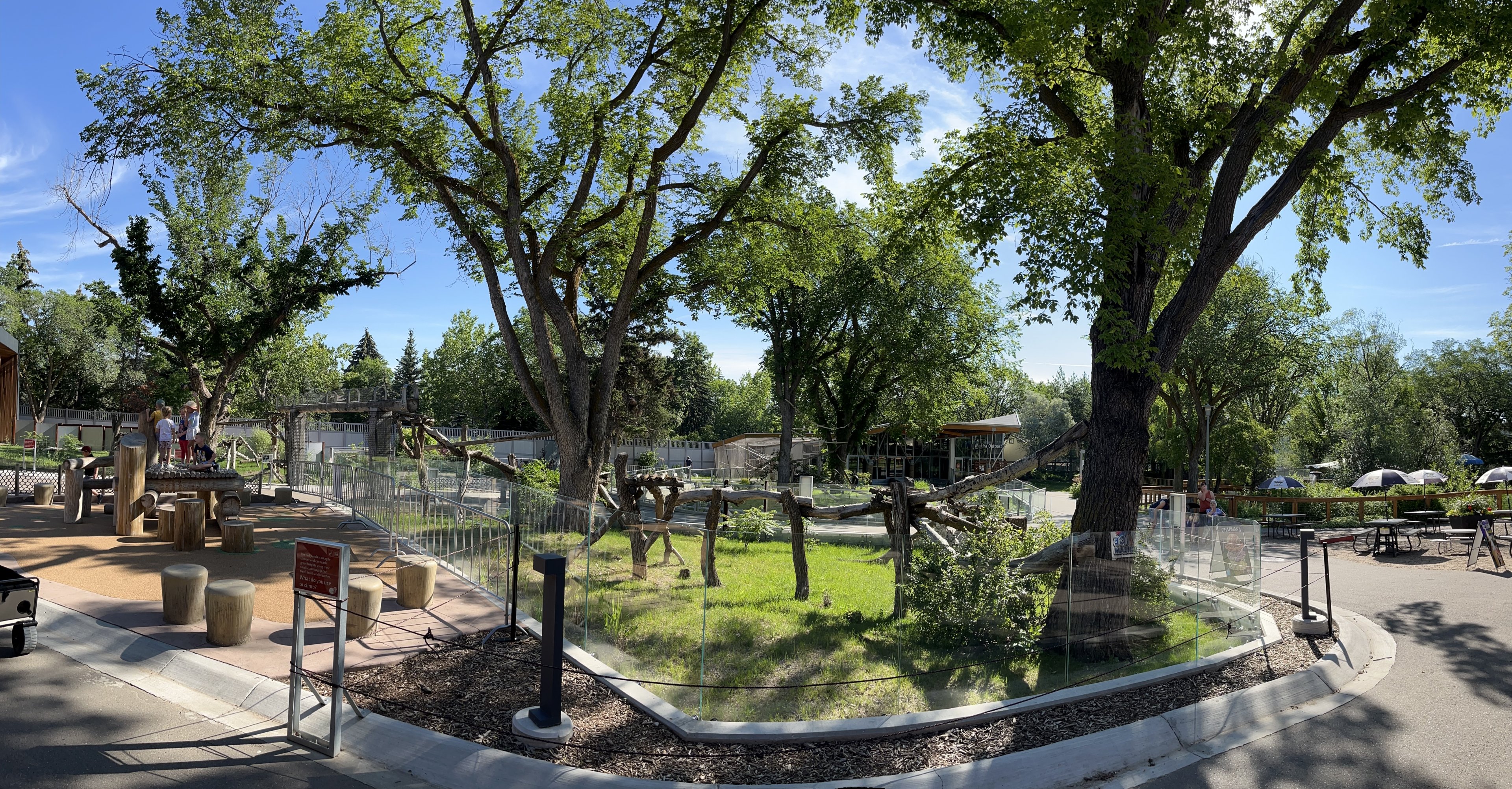 Red Panda Exhibit - New in 2019