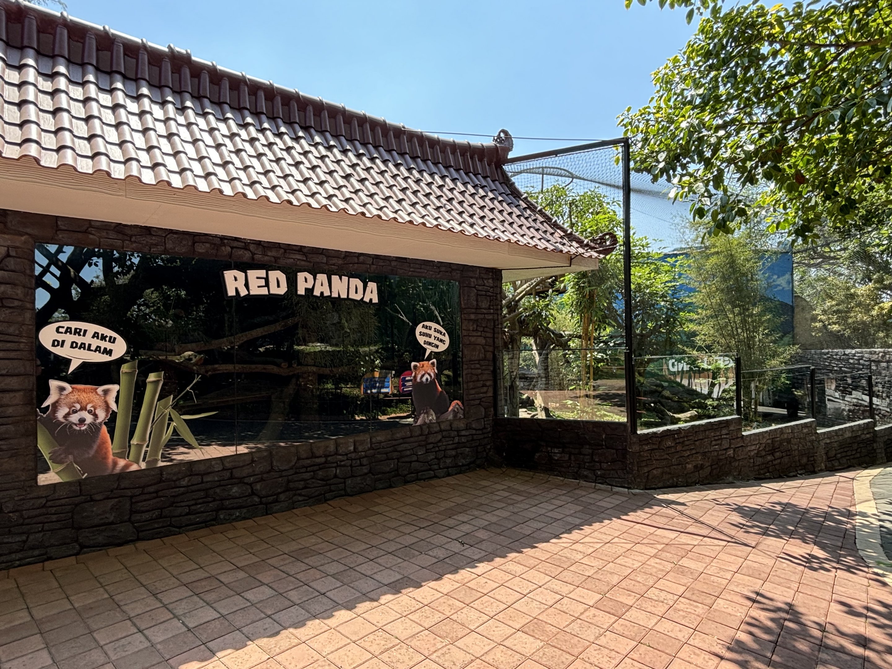 Red Panda Exhibit (New in 2024)