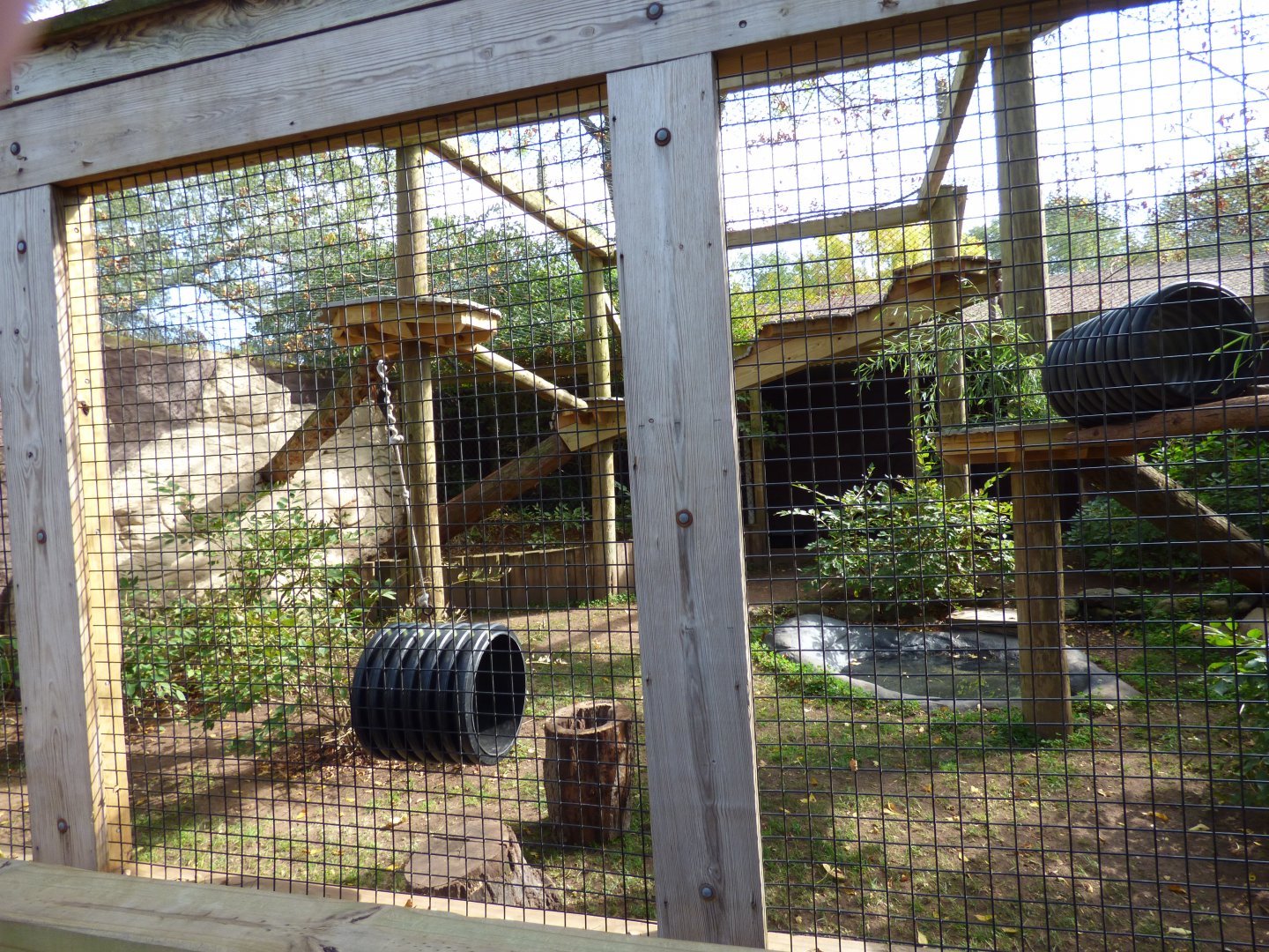 Red Panda Exhibit, October 2017