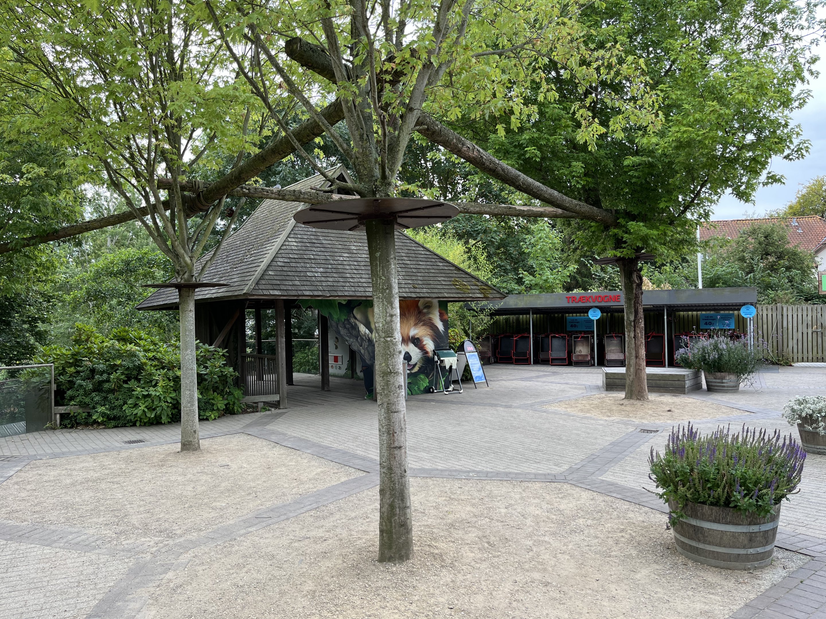 Red Panda Exhibit - overhead walkway