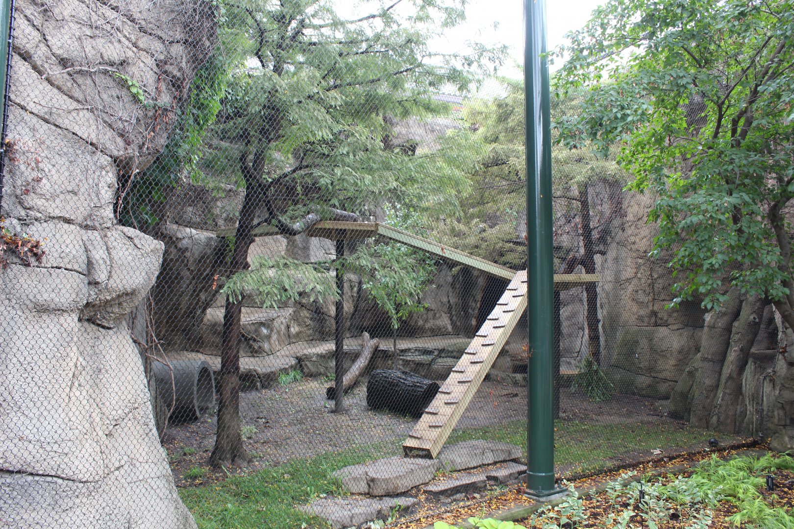 Red Panda Exhibit - Pepper Family Wildlife Center