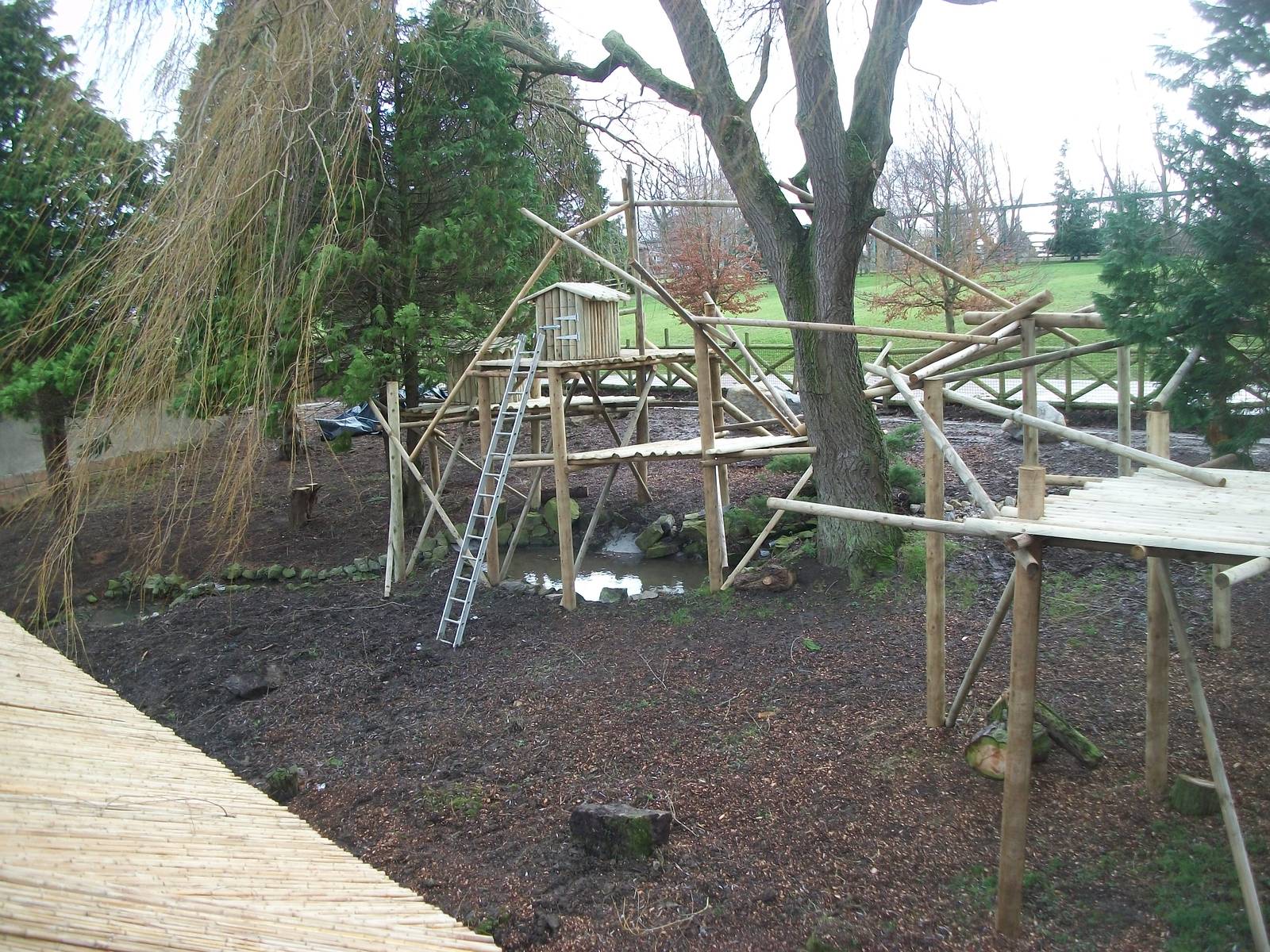 Red Panda exhibit progress, 27th December 2013