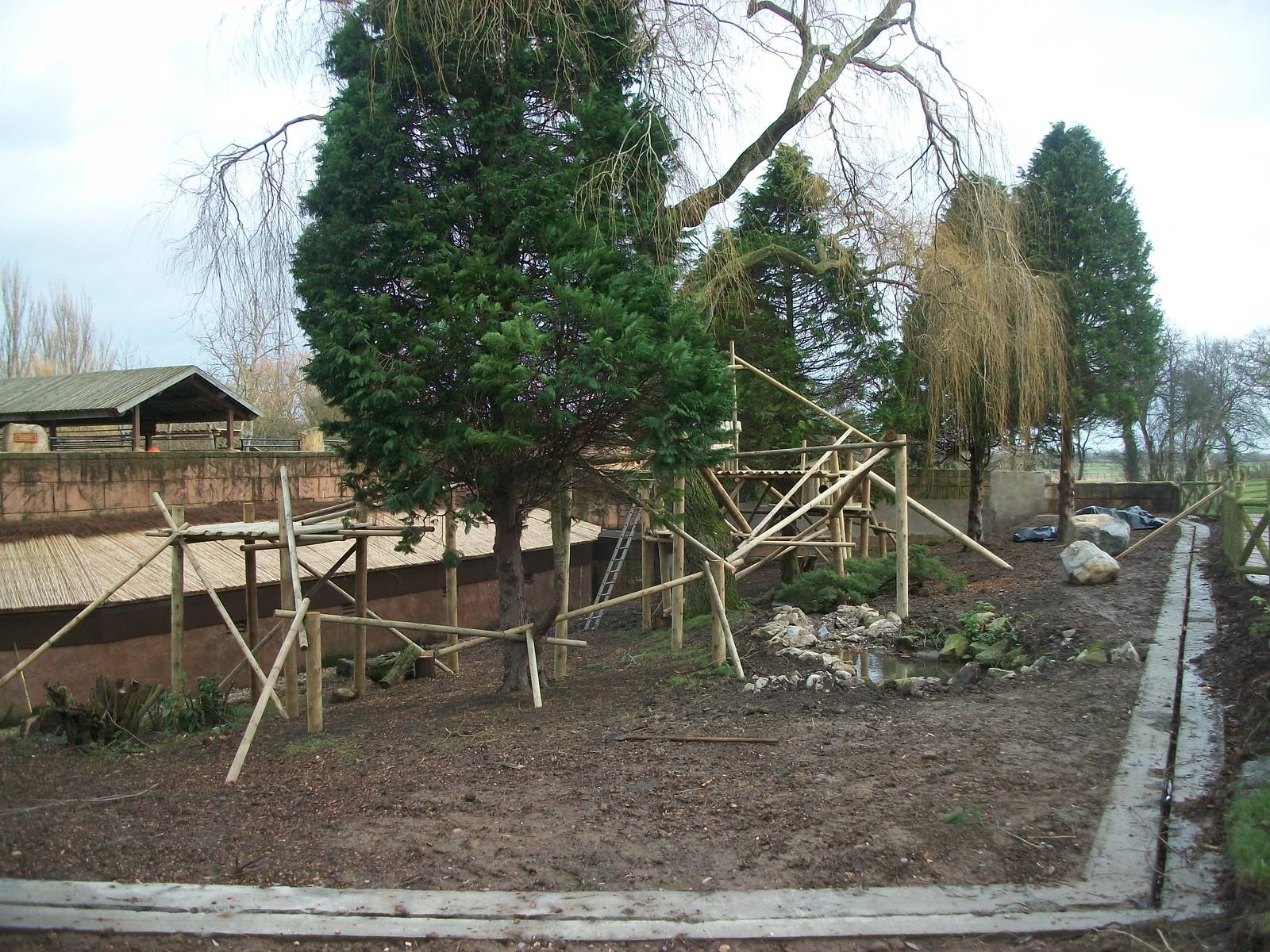 Red Panda exhibit progress, 27th December 2013