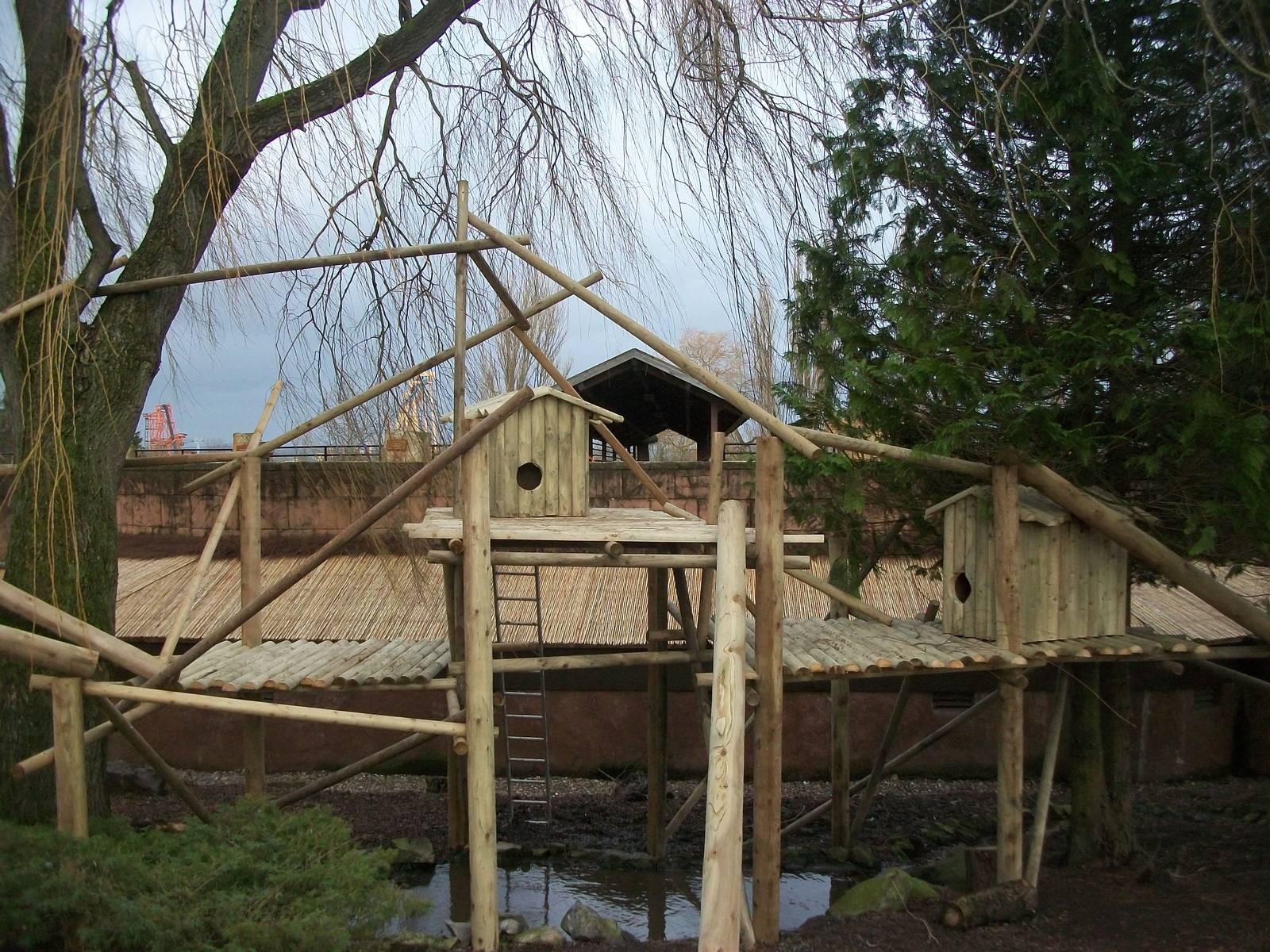 Red Panda exhibit progress, 27th December 2013