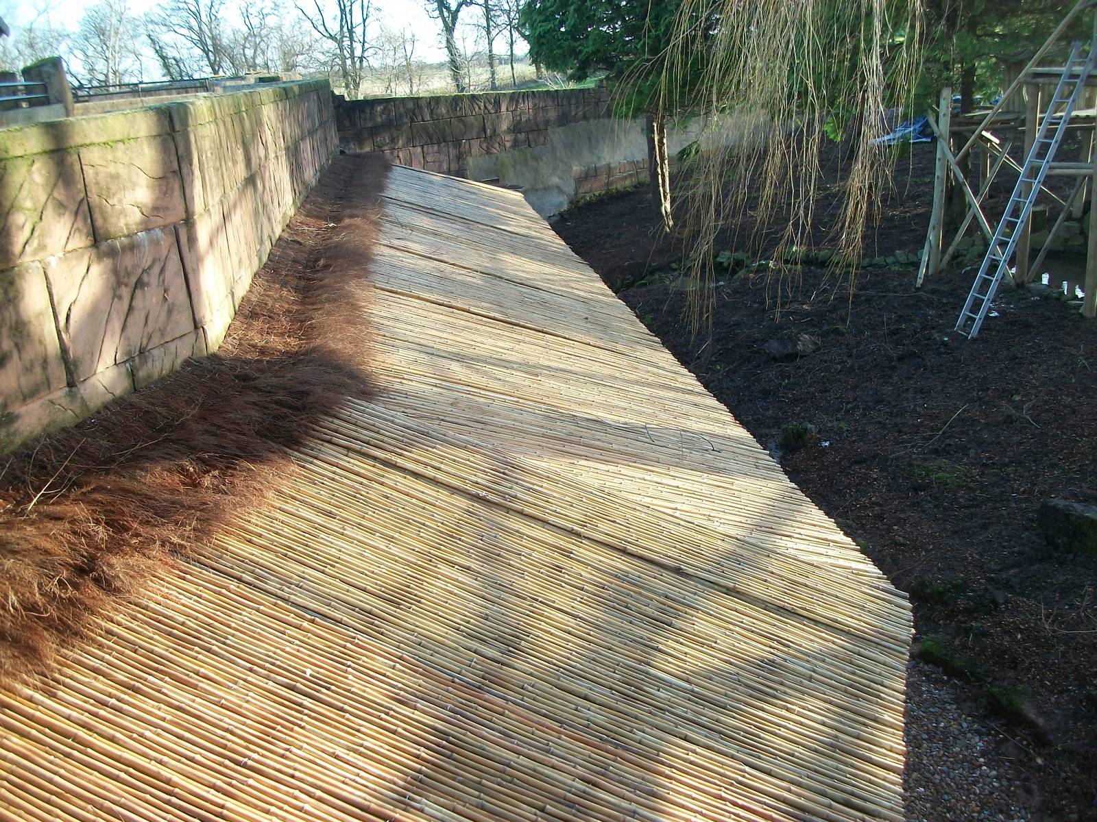 Red Panda exhibit progress, 3rd January 2014
