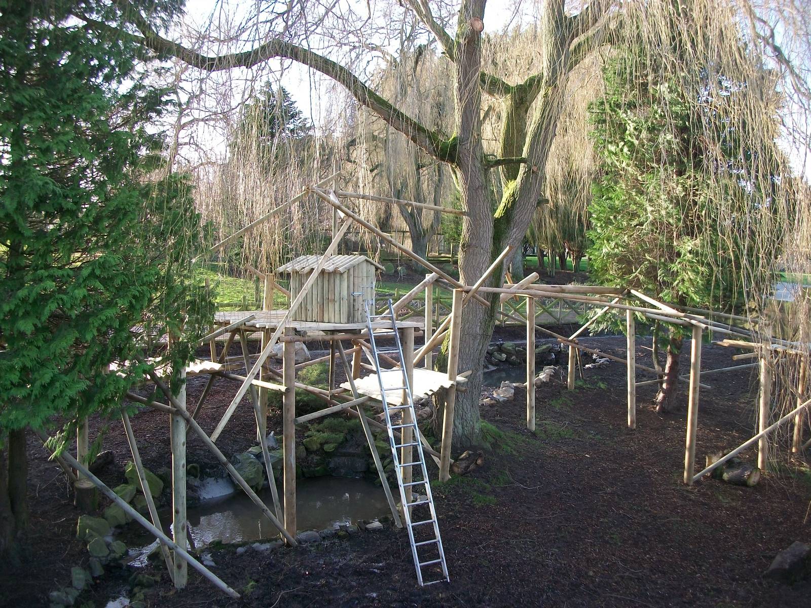 Red Panda exhibit progress, 3rd January 2014