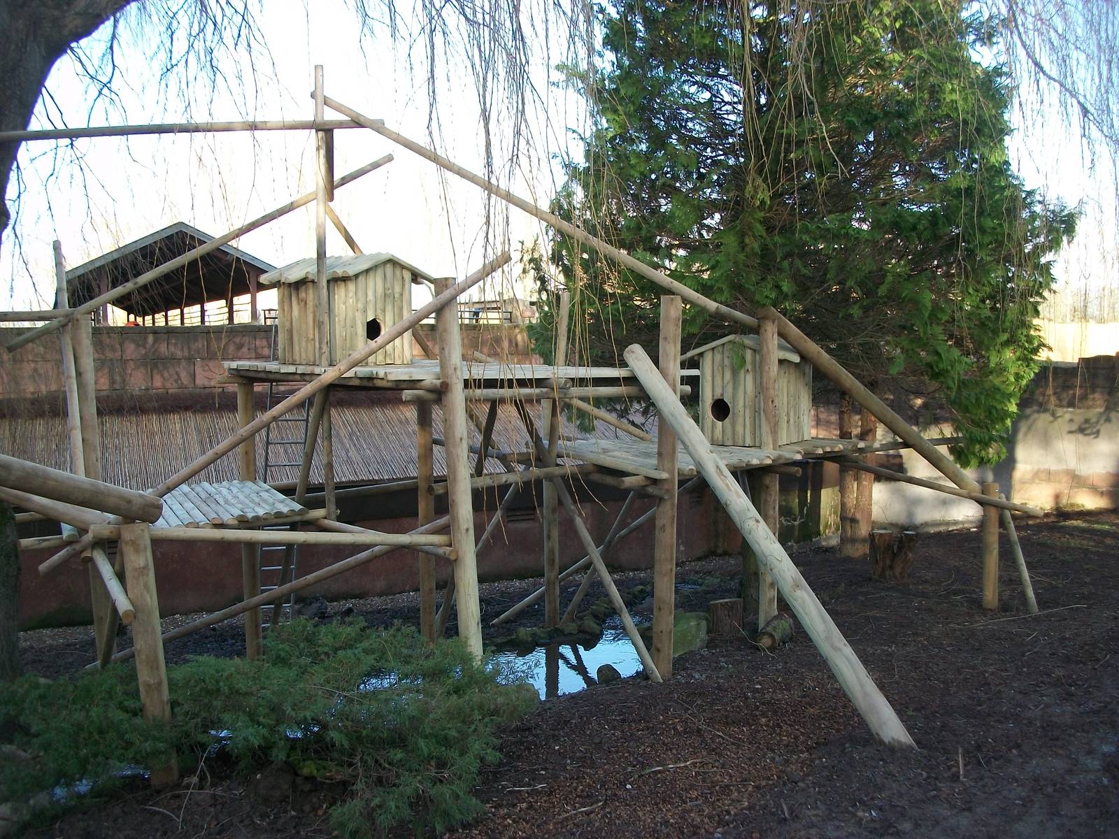 Red Panda exhibit progress, 3rd January 2014