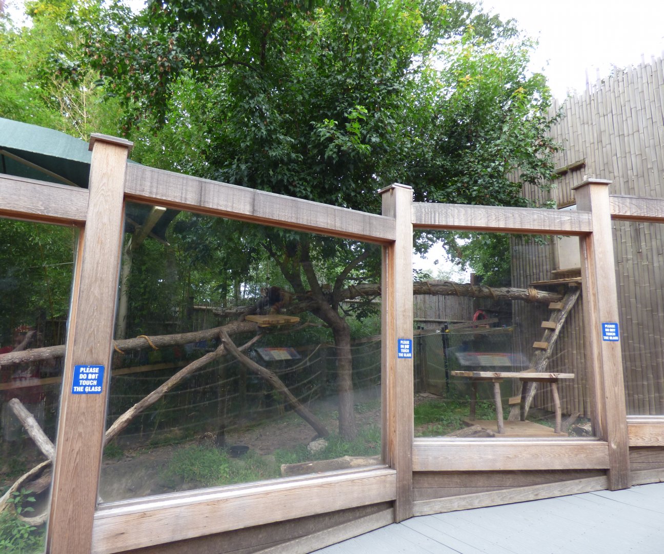 Red Panda Exhibit Sept 2018