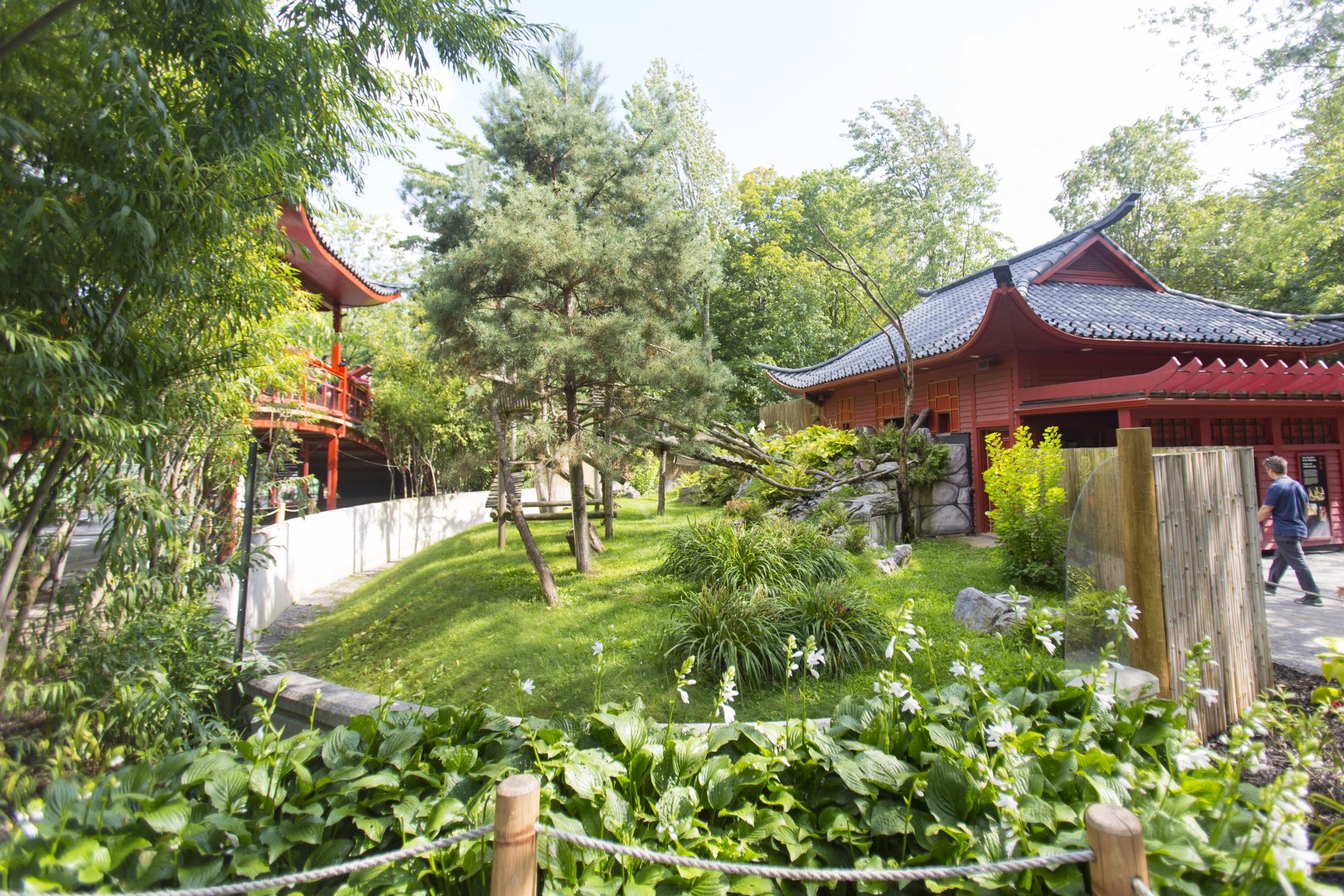 Red Panda Exhibit - Side View