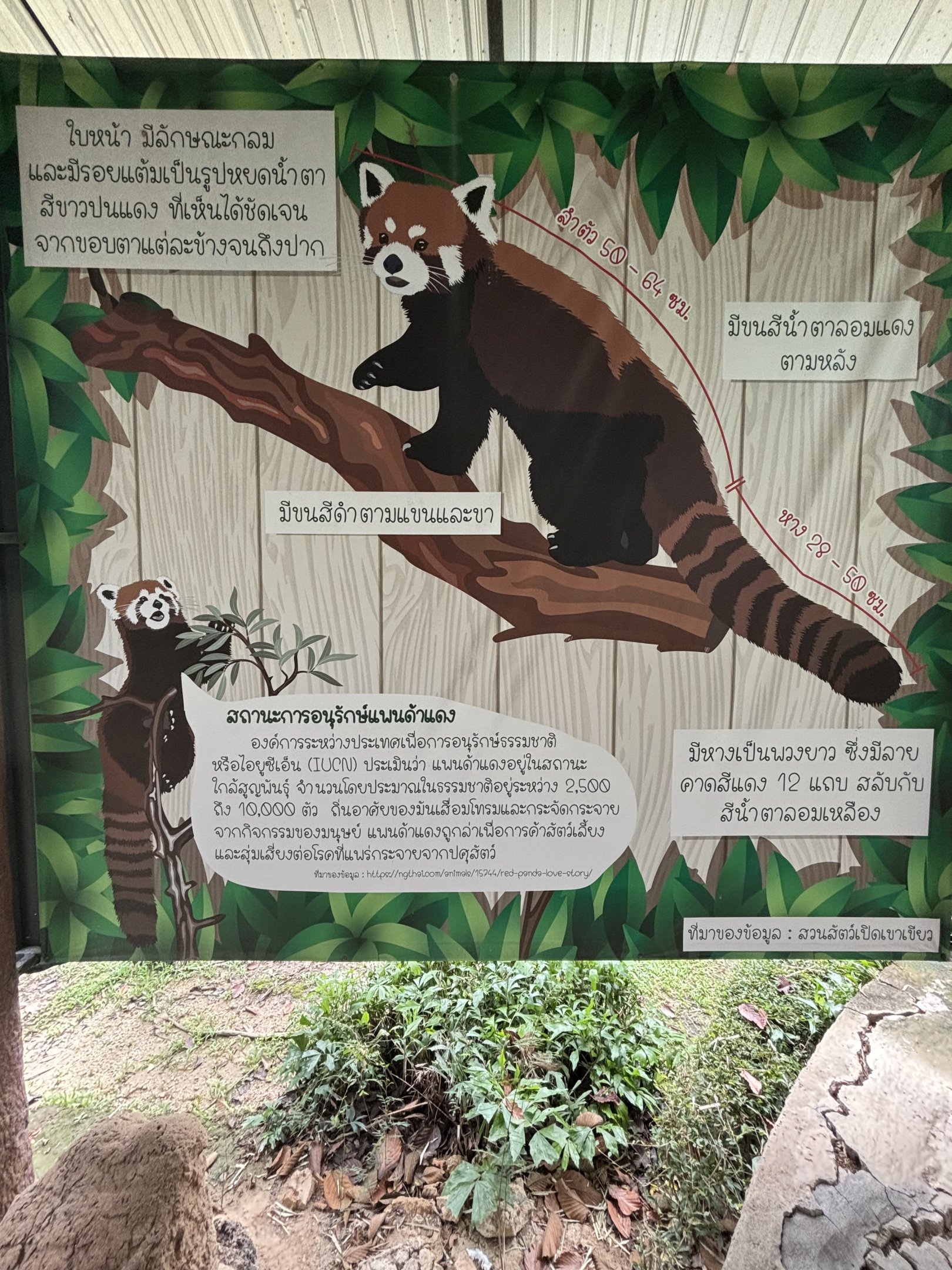 Red Panda Exhibit Sign