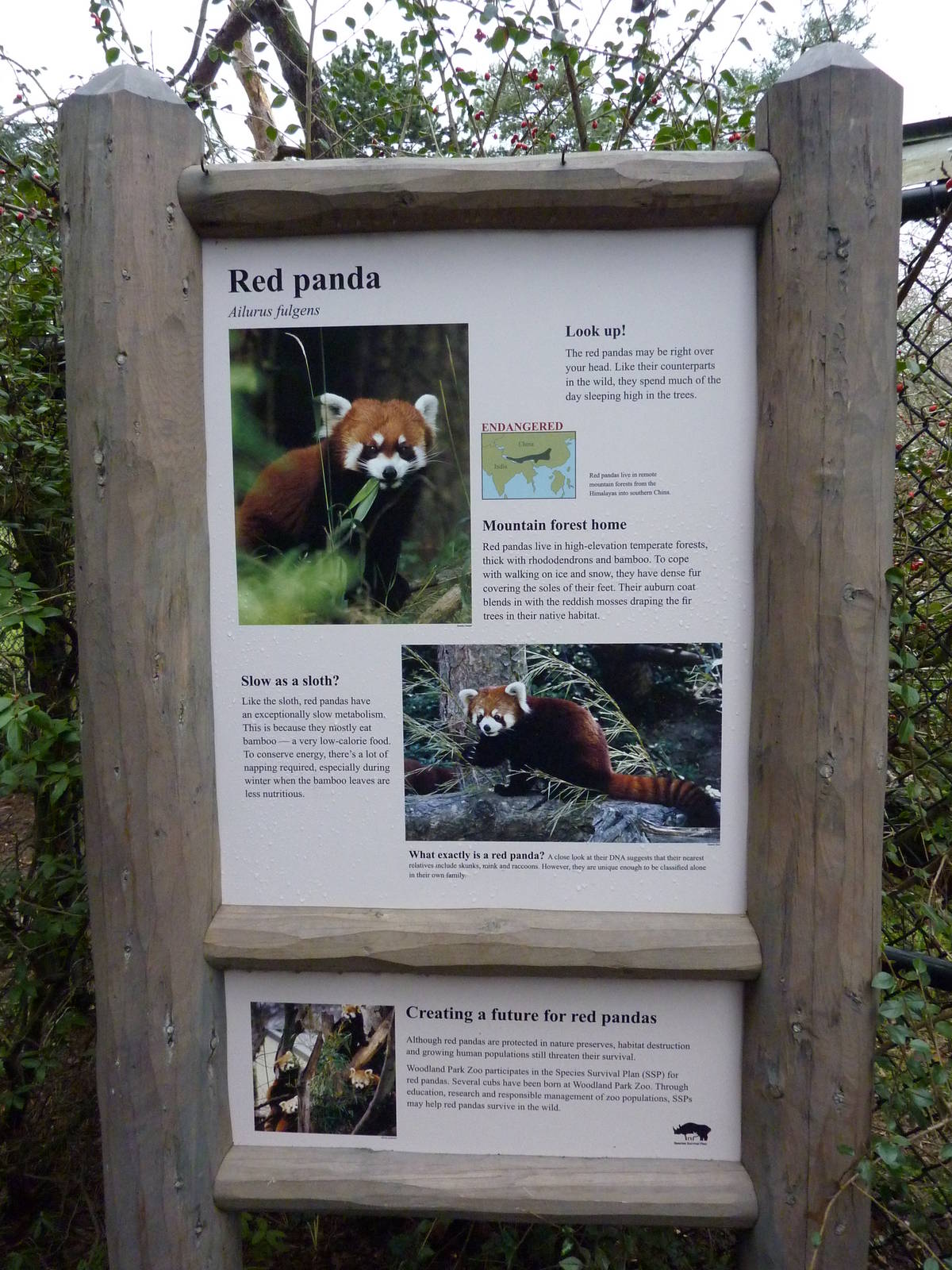 Red Panda Exhibit - Signage