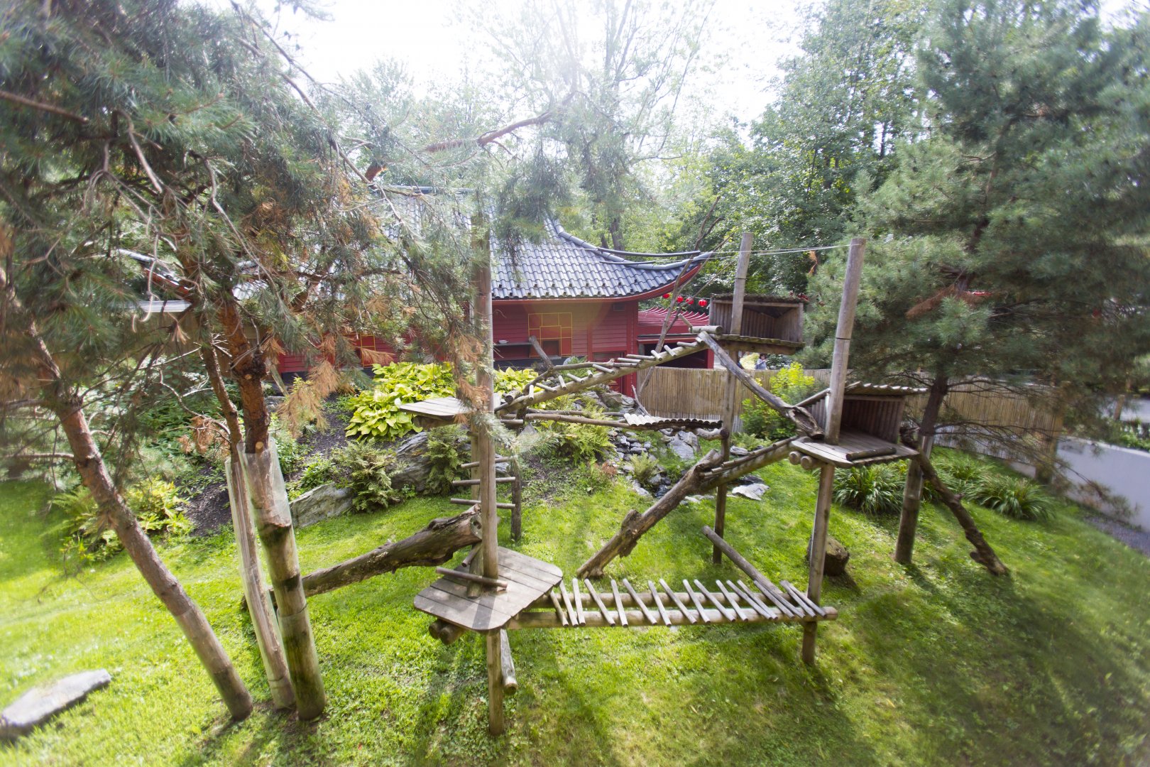 Red Panda Exhibit - View from elevated walkway