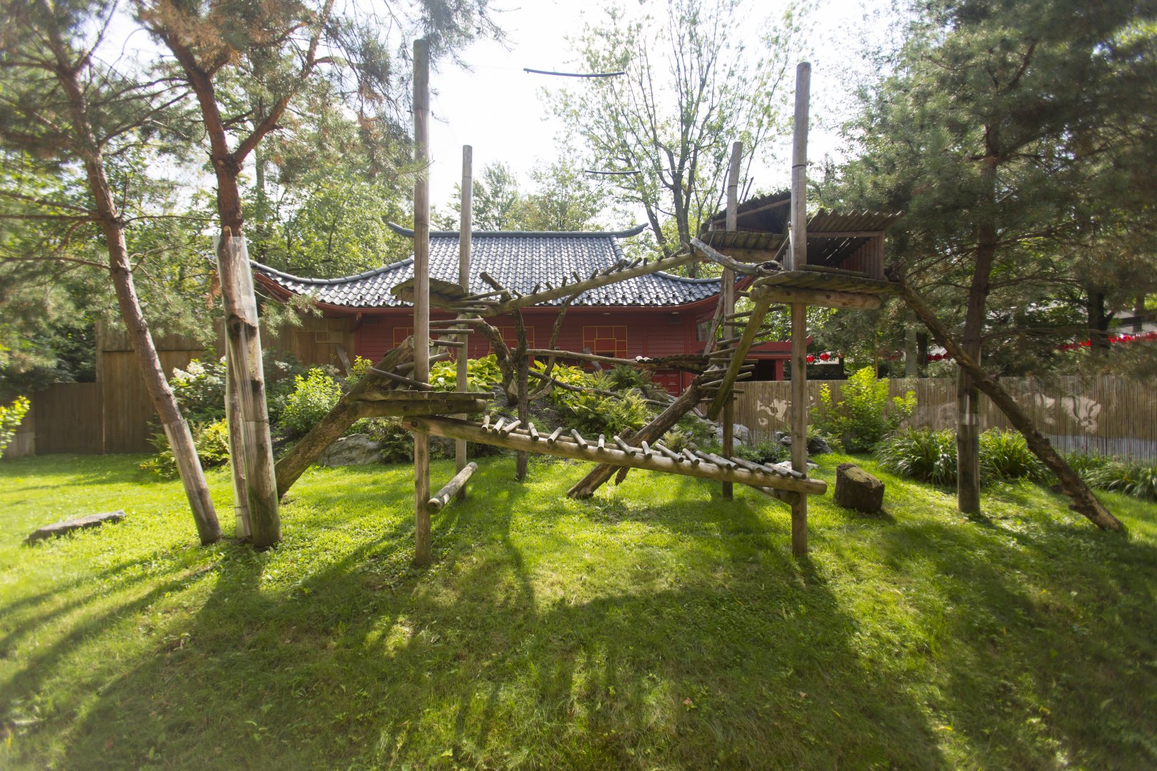 Red Panda Exhibit - View from ground level