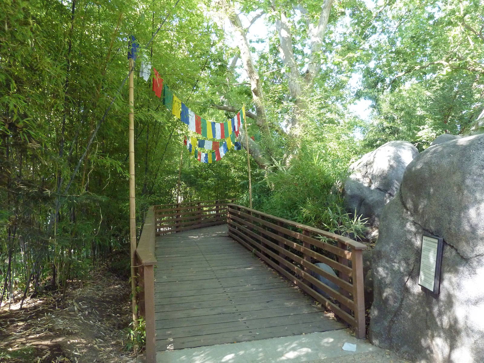 Red Panda Exhibit - Visitor Pathway