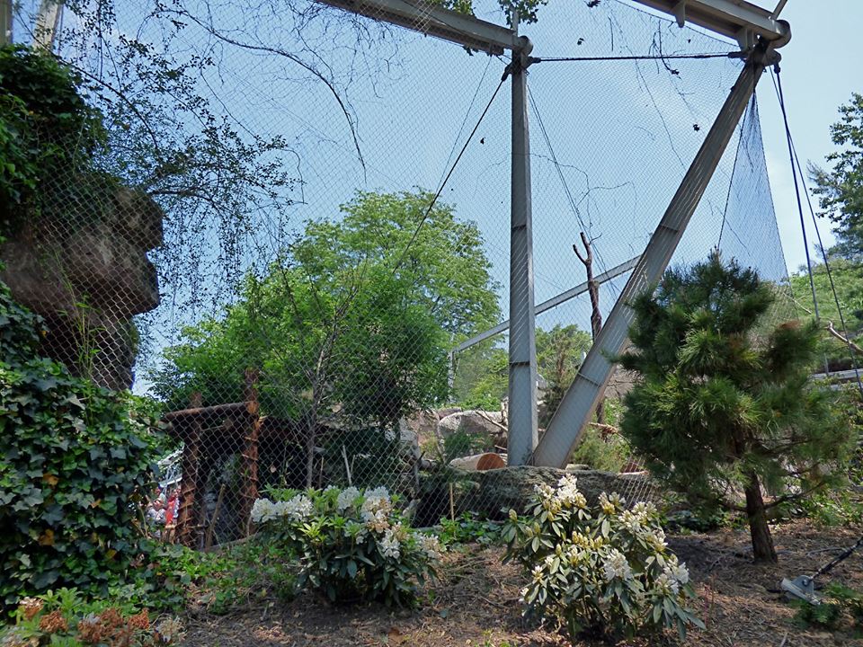 Red Panda Exhibit (Water is Life) - may 2018