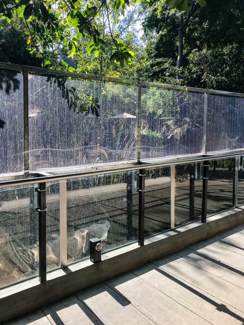Red panda exhibit with plexiglass surround.