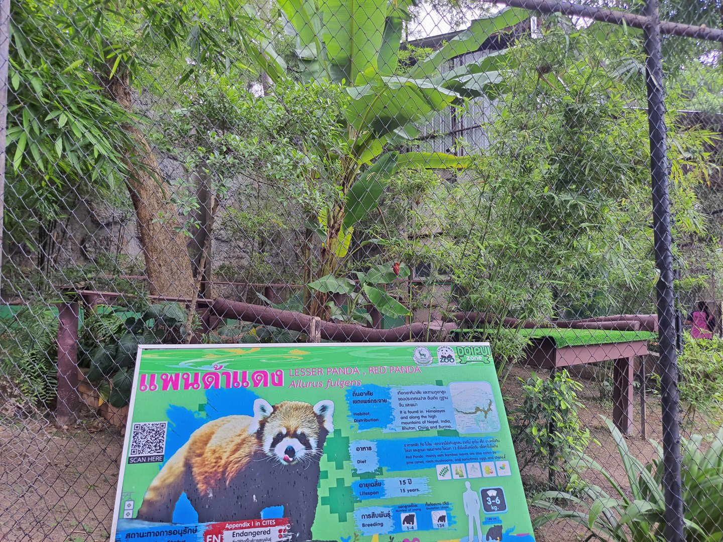 Red Panda Exhibit with Signage