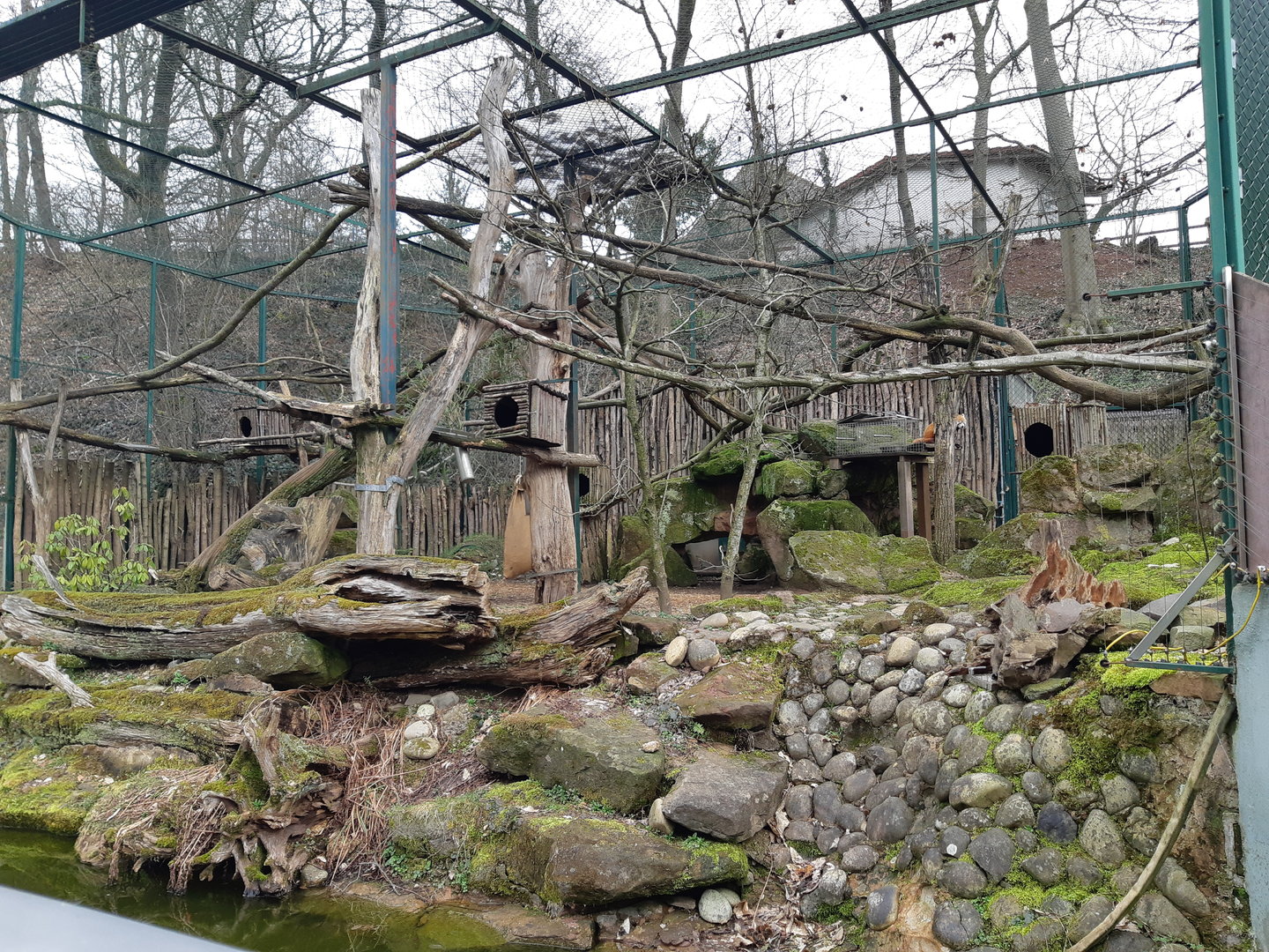 Red panda exhibit - Zoo Saarbrücken