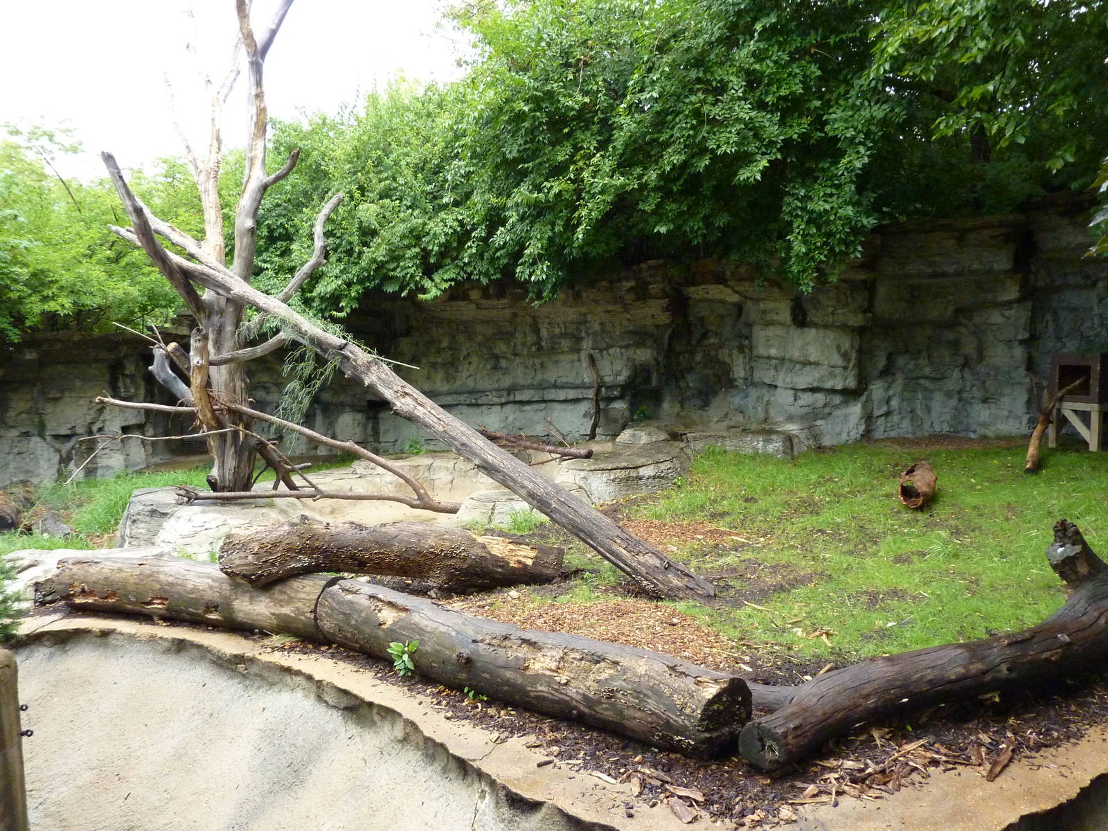 Red Panda Exhibit