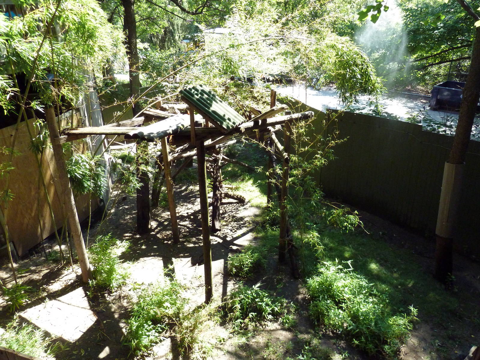 Red Panda Exhibit