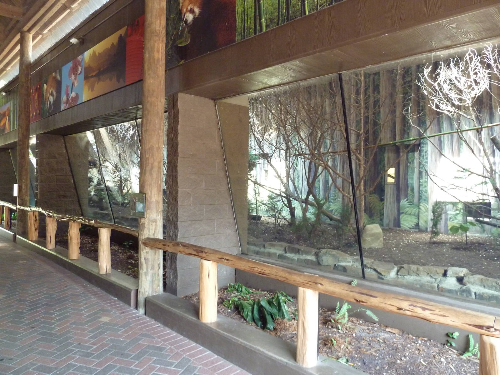 Red Panda Exhibit
