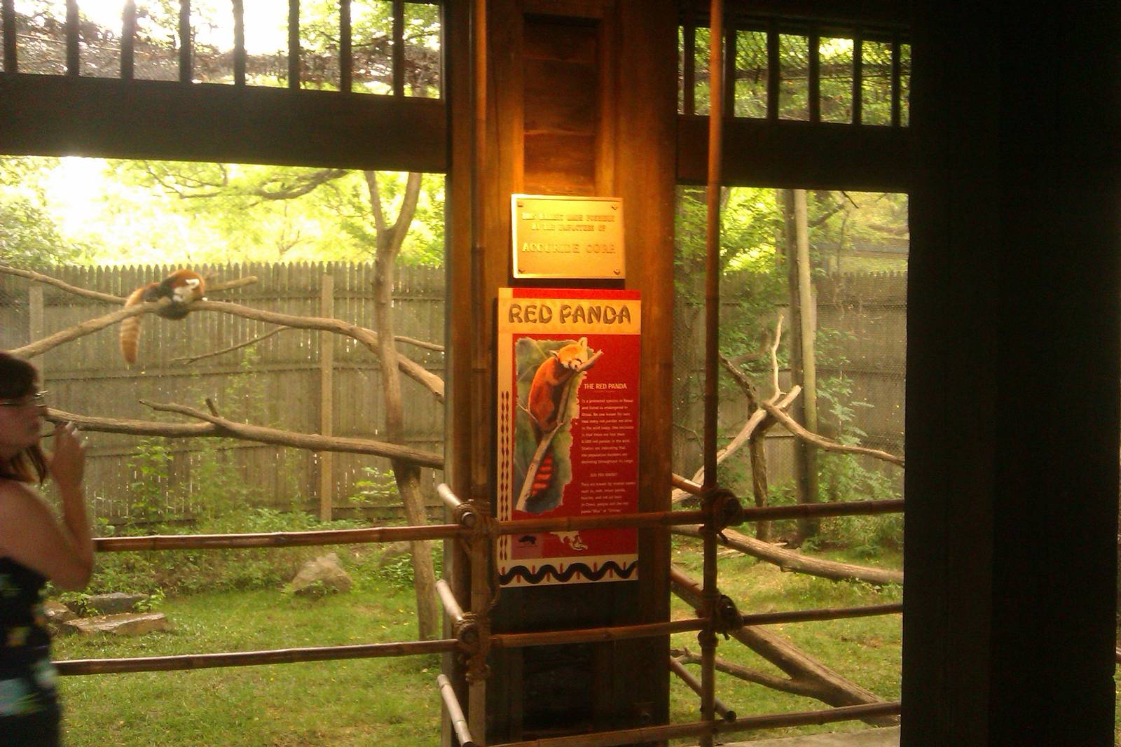 Red Panda Exhibit