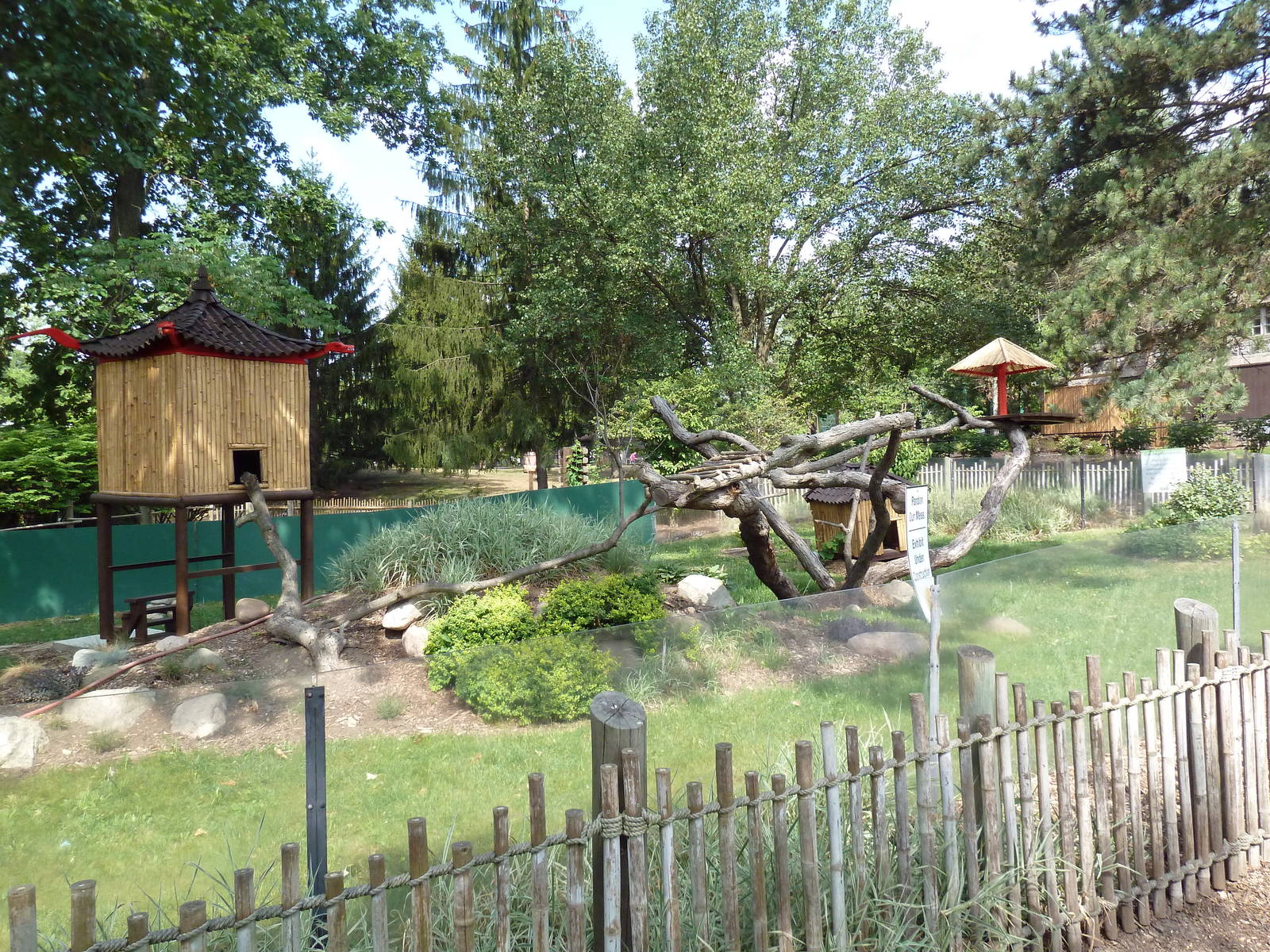 Red Panda Exhibit