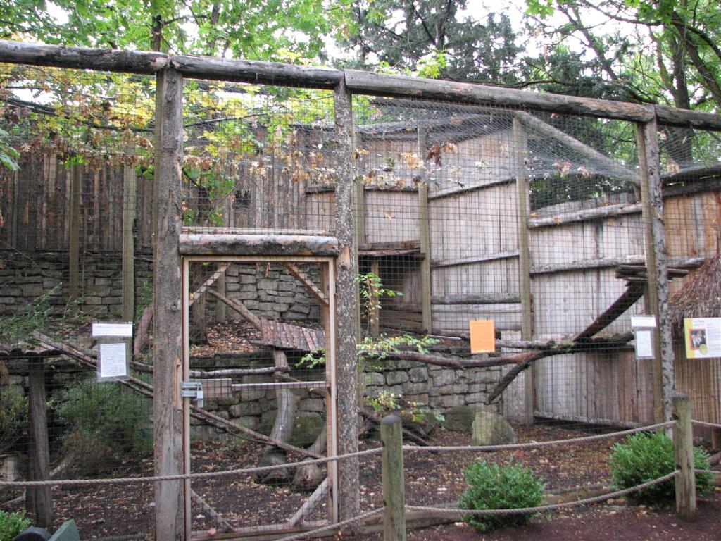 Red Panda Exhibit