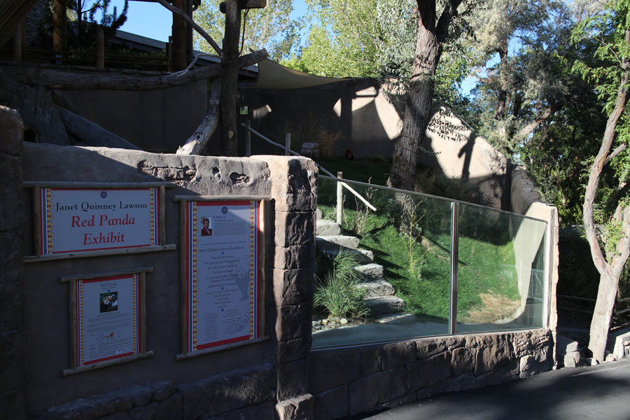 red panda exhibit