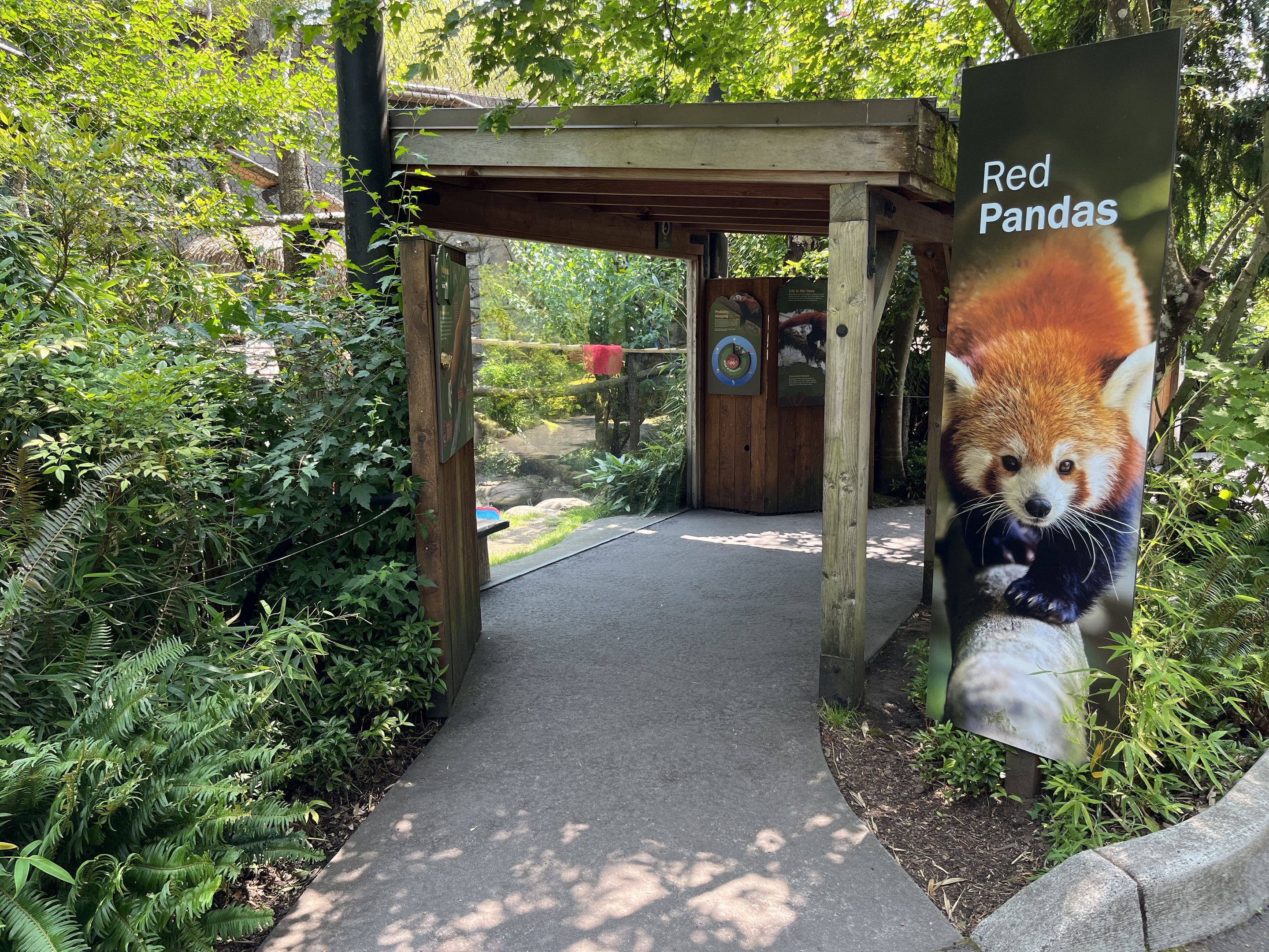 Red Panda Exhibit