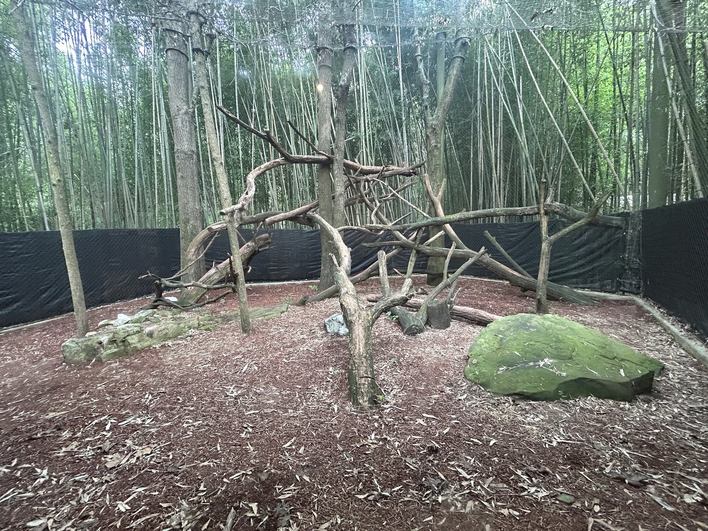 Red Panda Exhibit