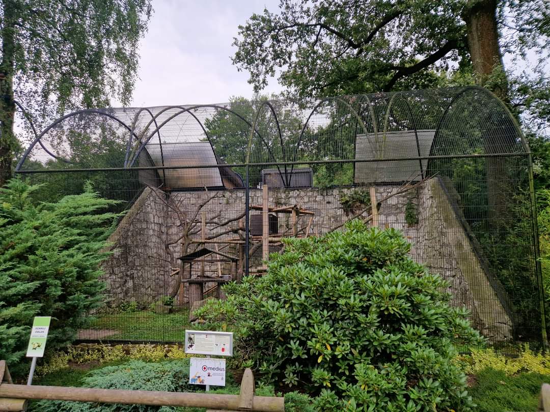 Red Panda exhibit