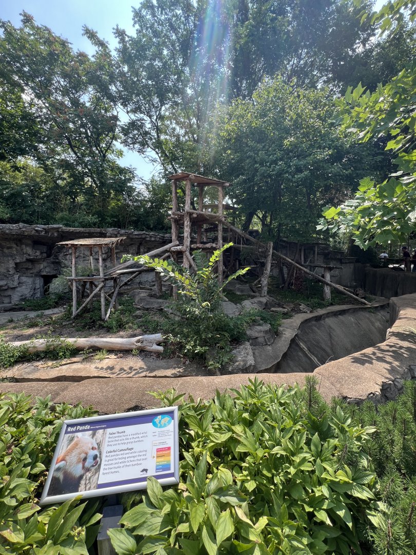 Red Panda Exhibit