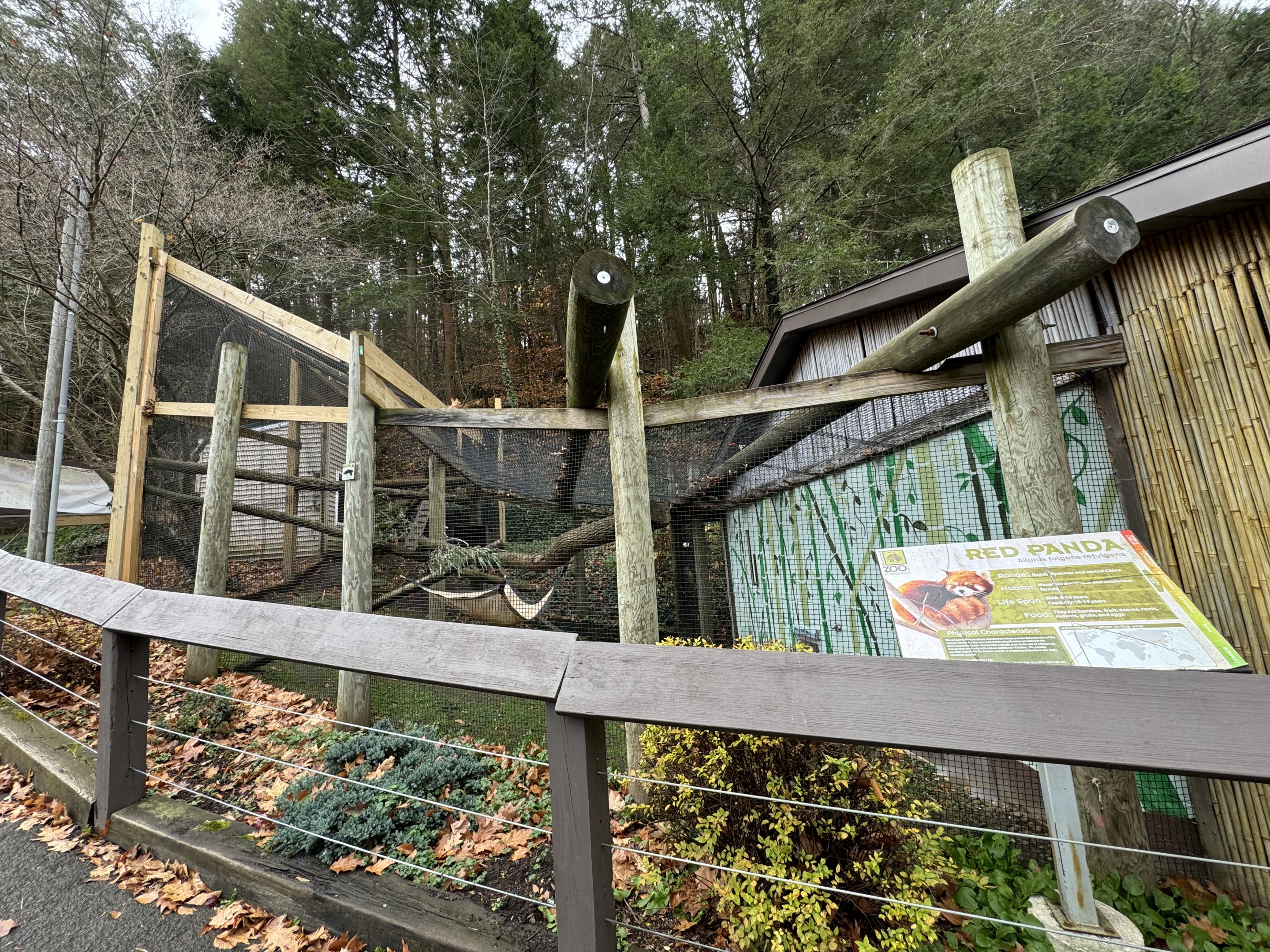 Red panda exhibit